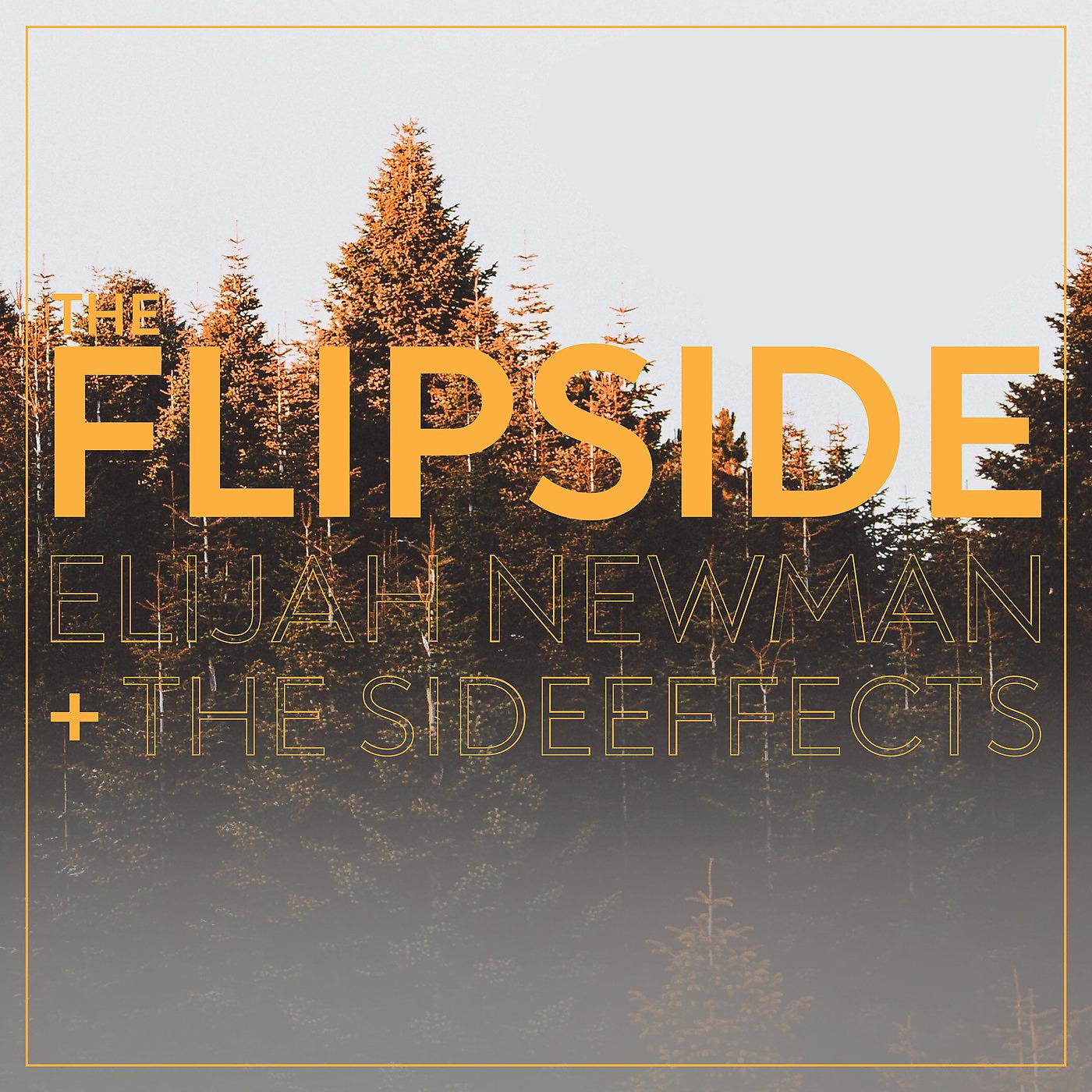 Постер альбома The Flipside