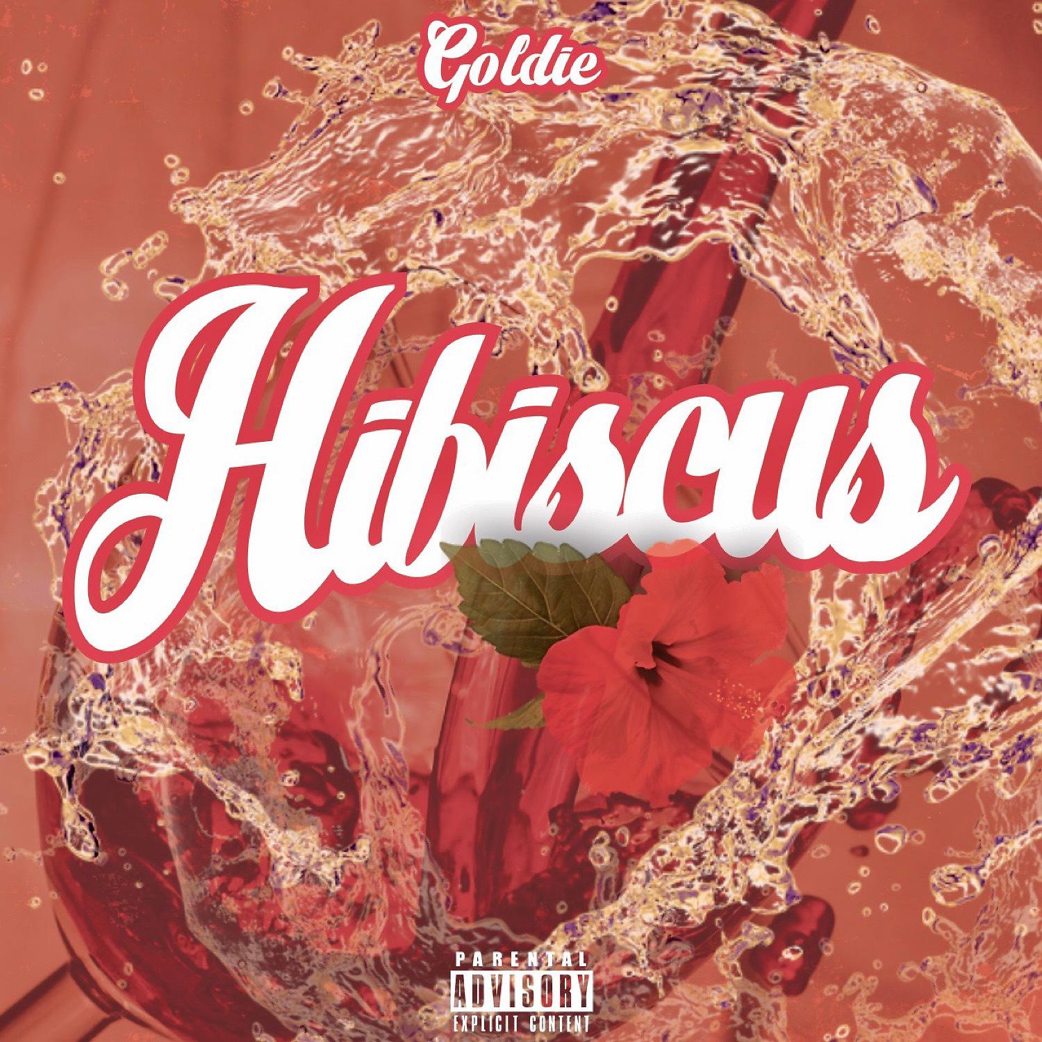 Постер альбома Hibiscus