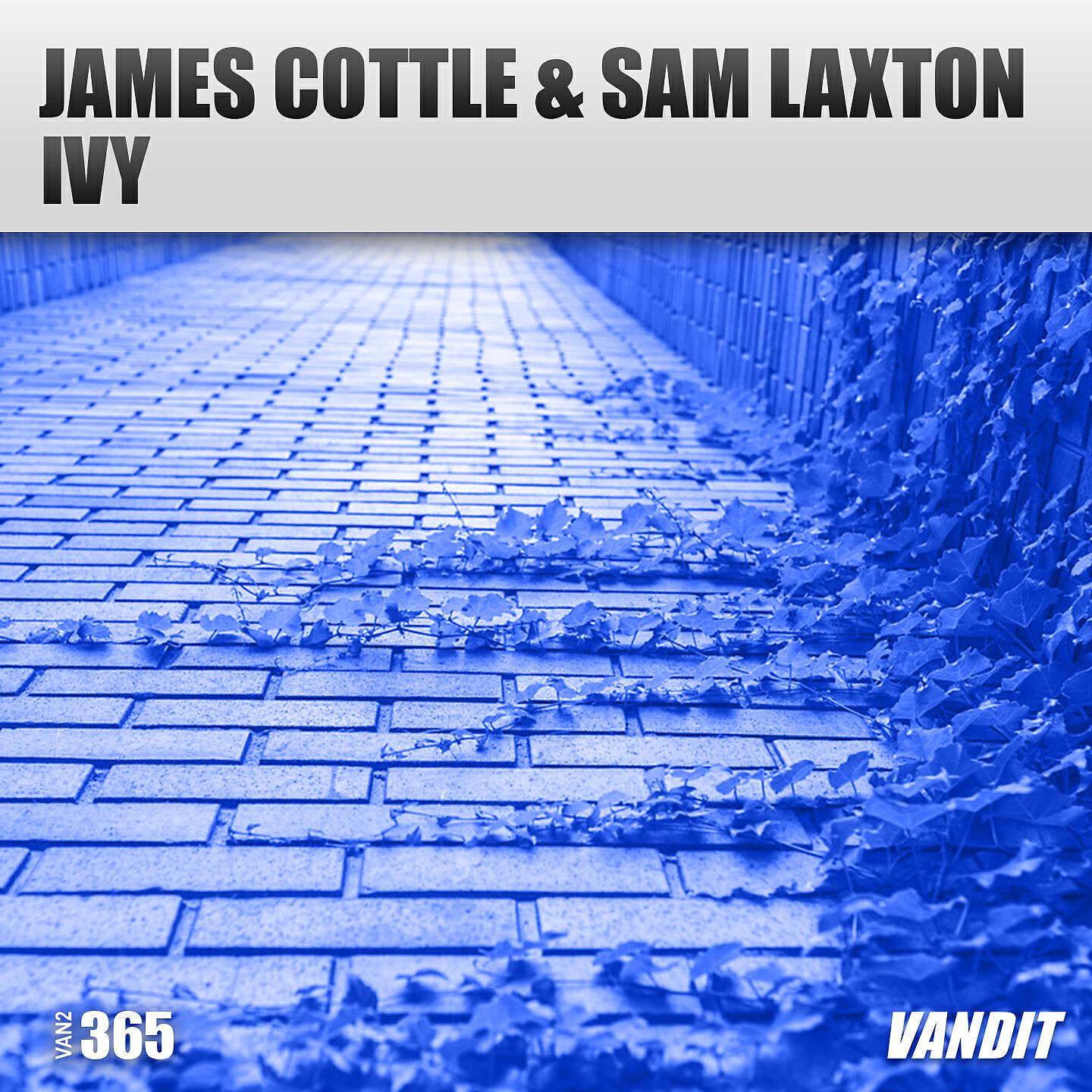 James Cottle - Ivy (Extended)