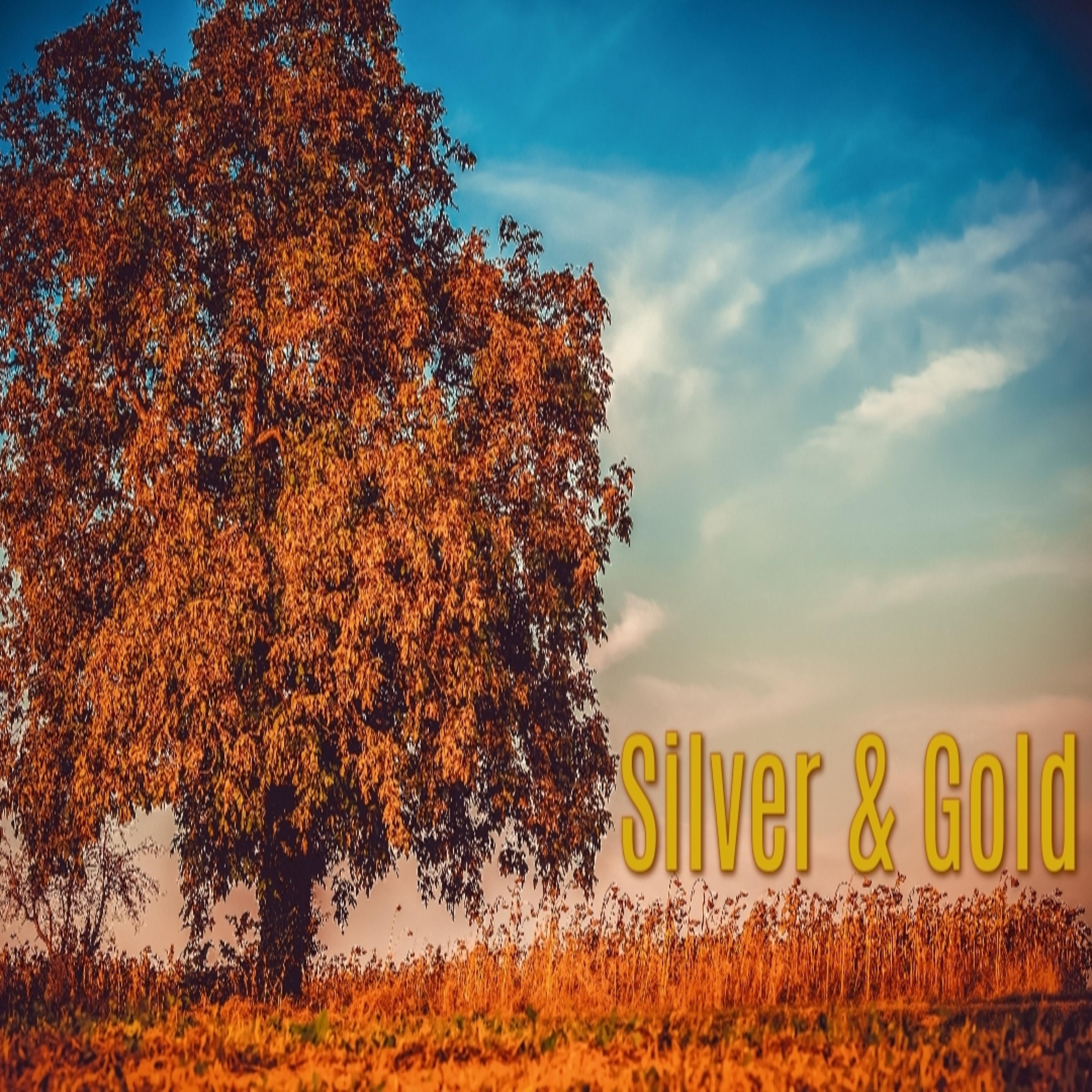Постер альбома Silver and Gold