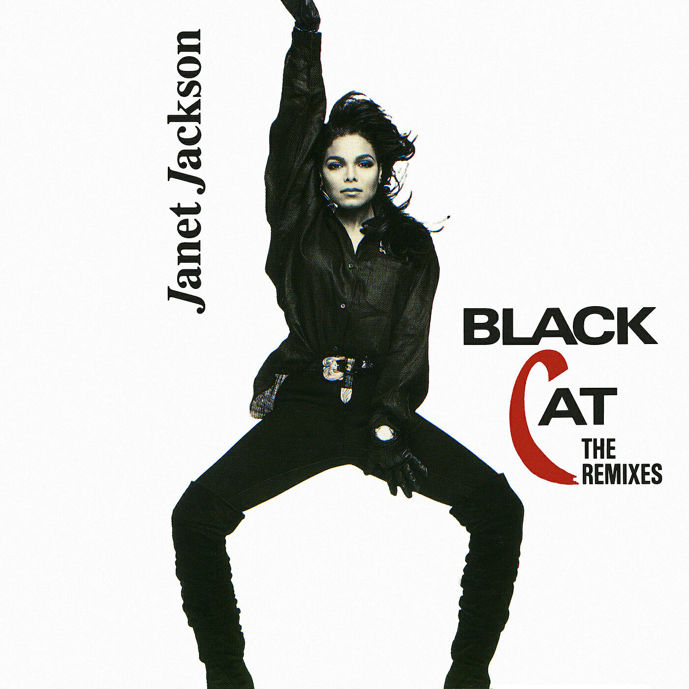 Janet Jackson - Black Cat