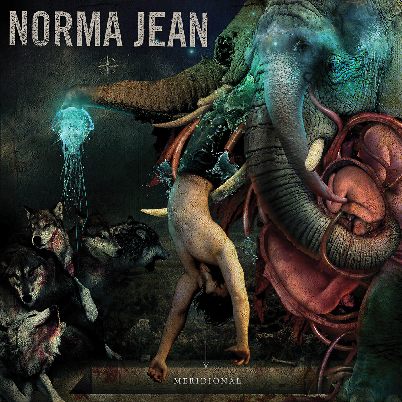 Norma Jean - Septentrional