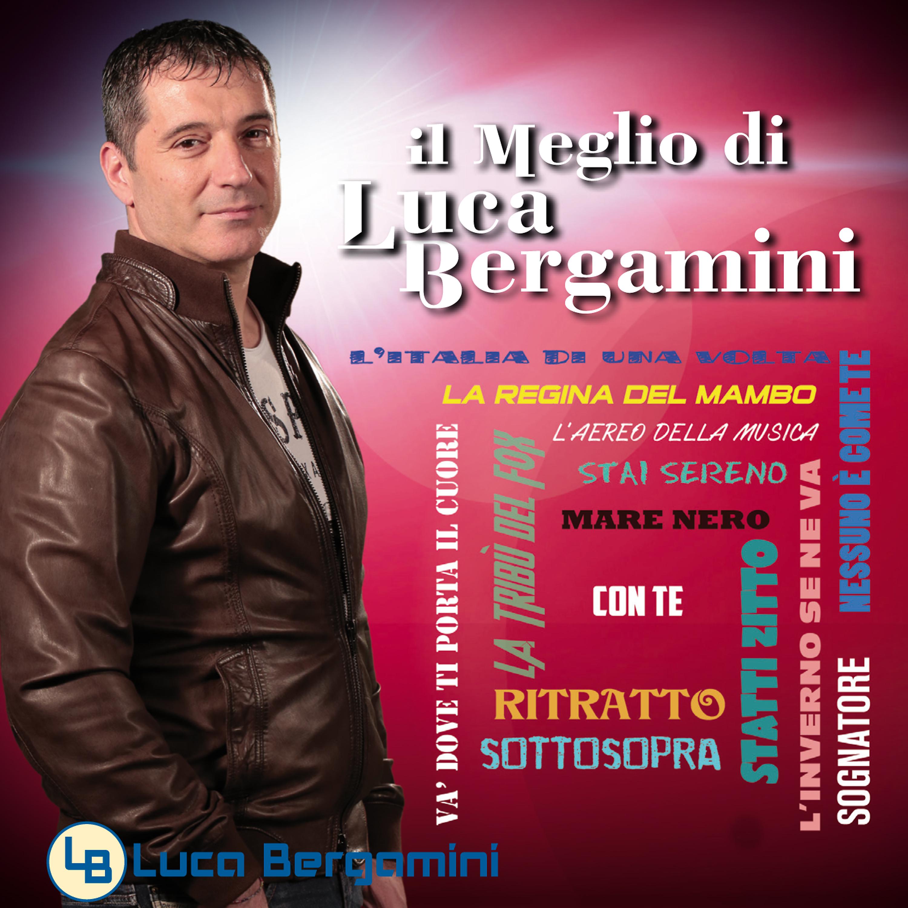 Постер альбома Il meglio di Luca Bergamini
