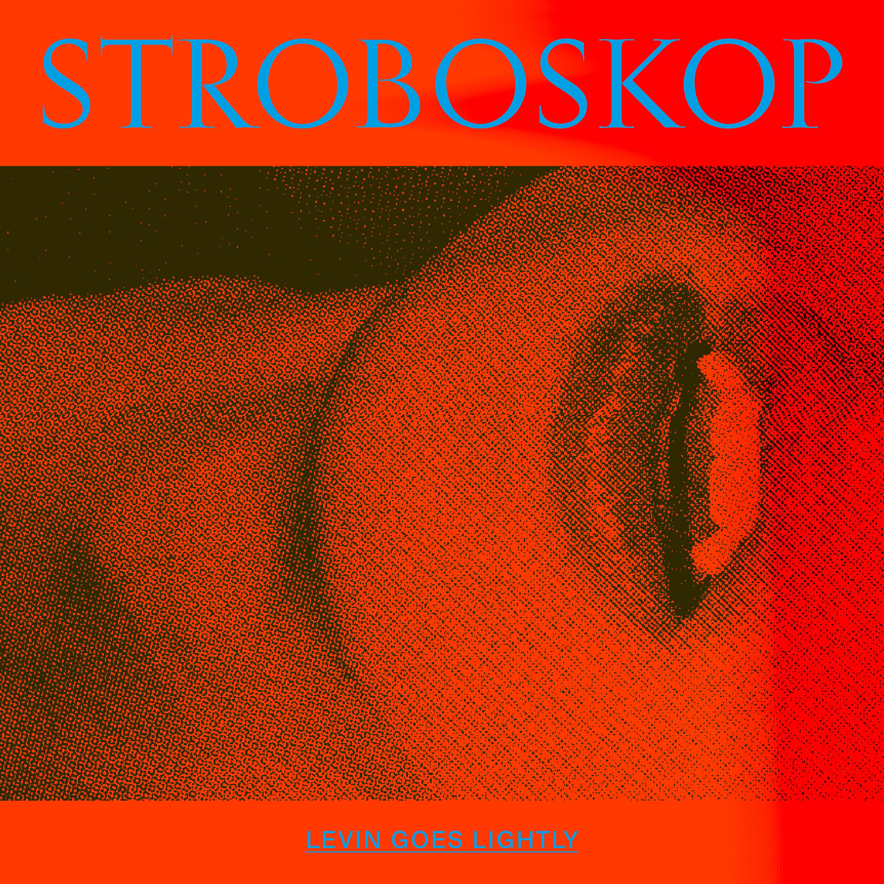Постер альбома Stroboskop