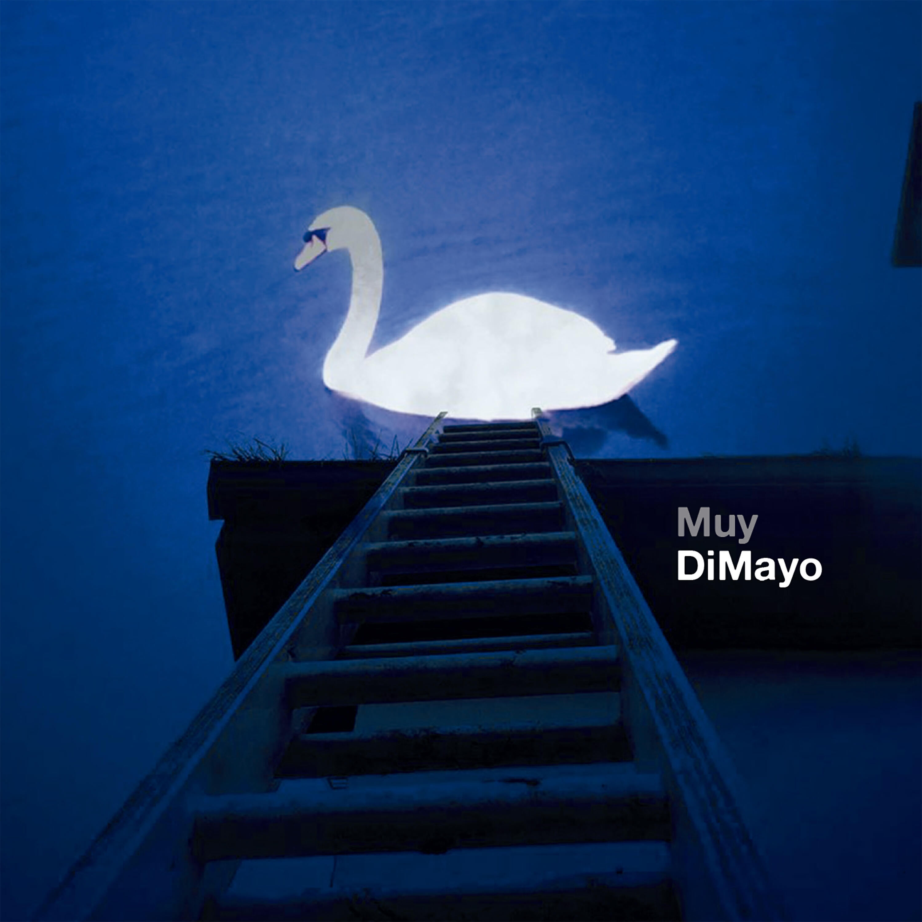 DiMayo - ¿Qué Quieres de Mí?
