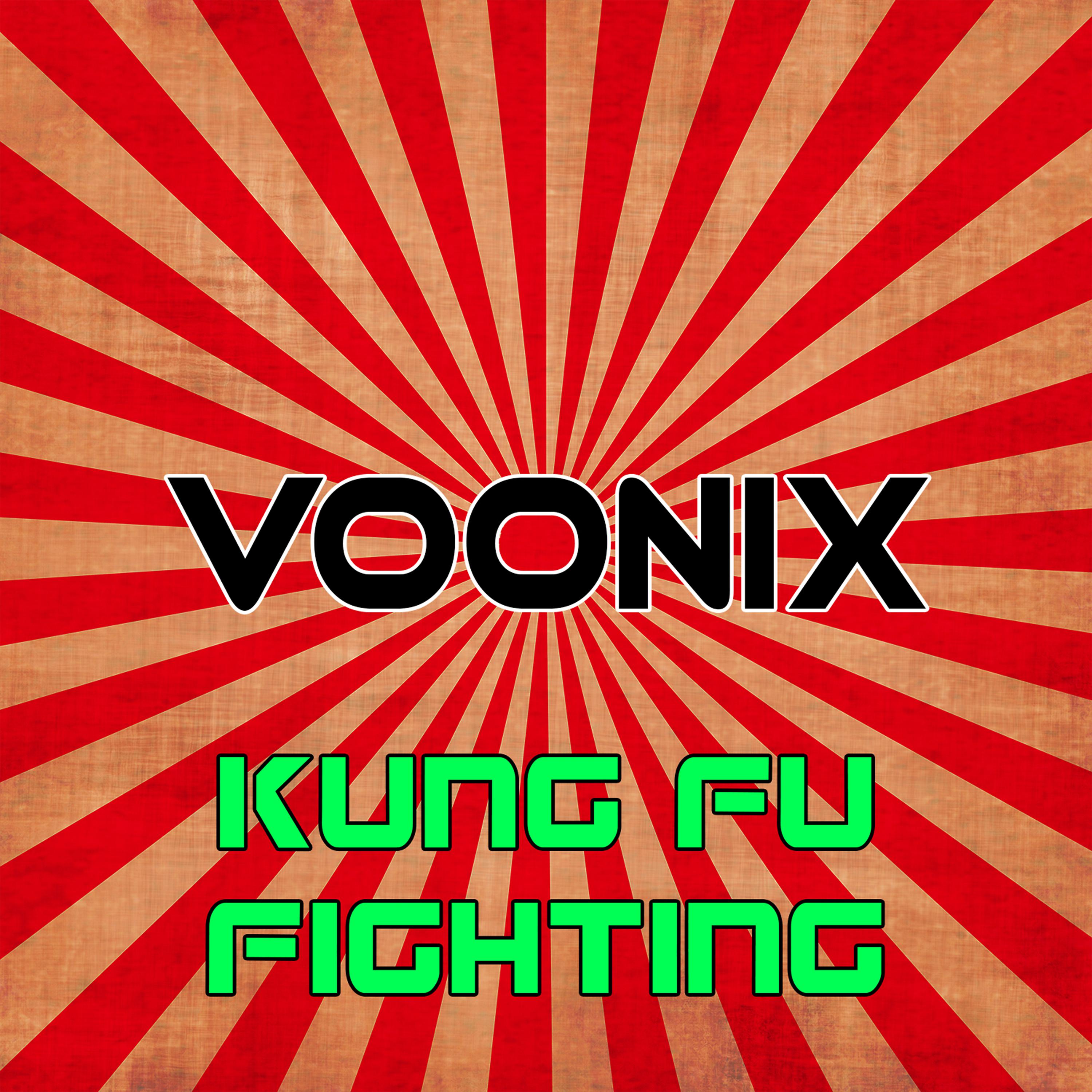 Постер альбома Kung Fu Fighting