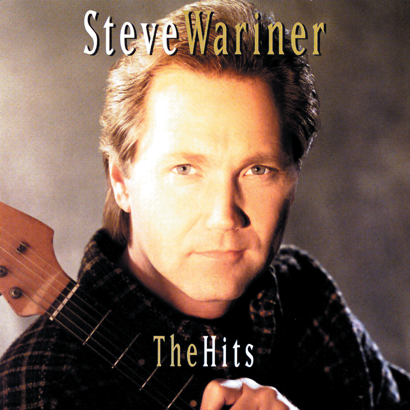 Steve Wariner - Some Fools Never Learn (Album Version)