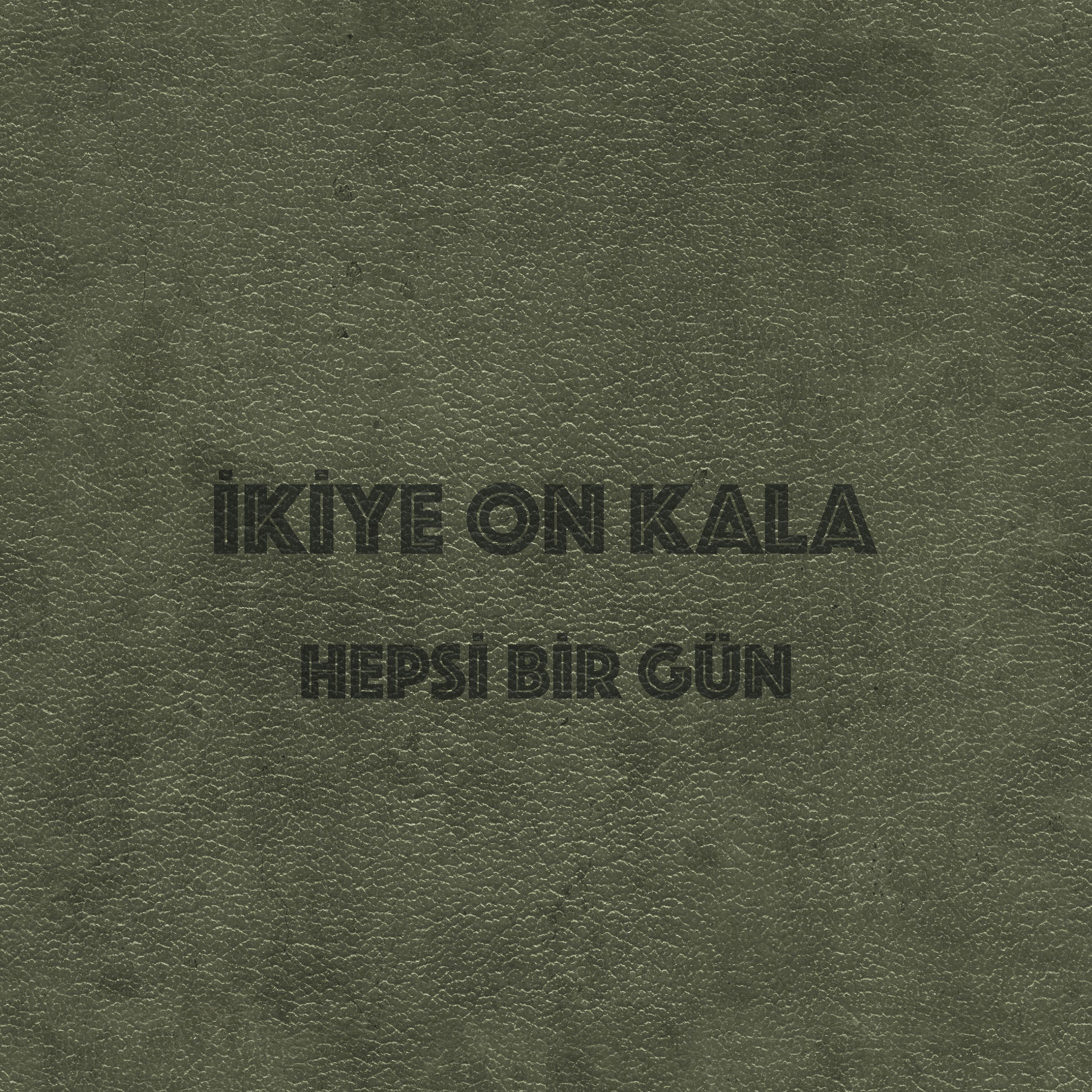 Постер альбома Hepsi Bir Gün