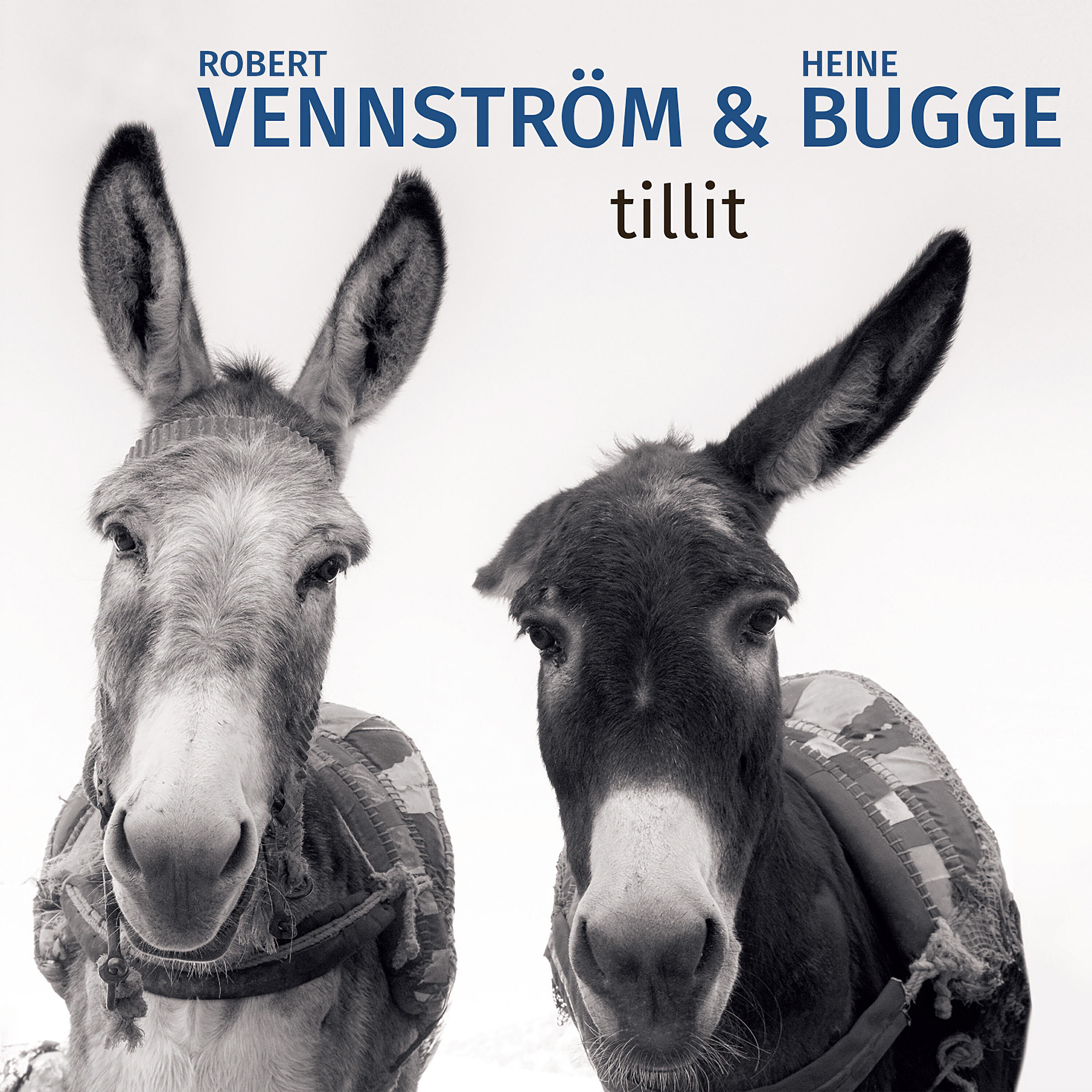 Robert Vennström - Kirsten Giftekniv
