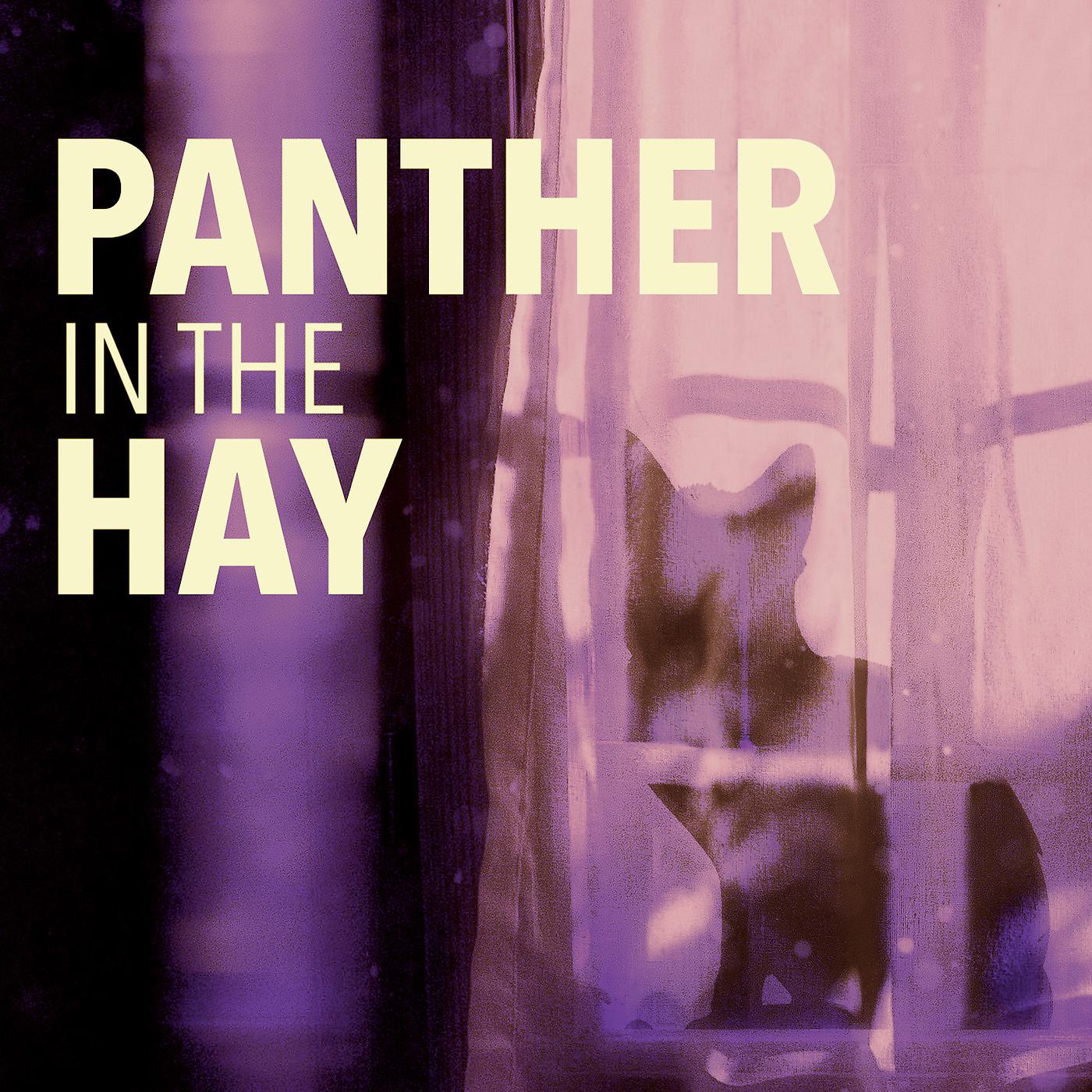 Постер альбома Panther in the Hay