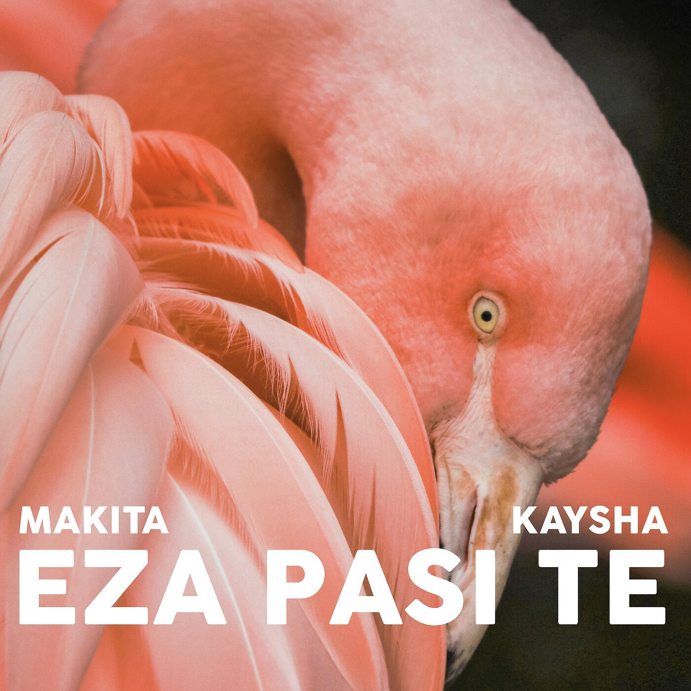 MAKITA - Eza Pasi Te
