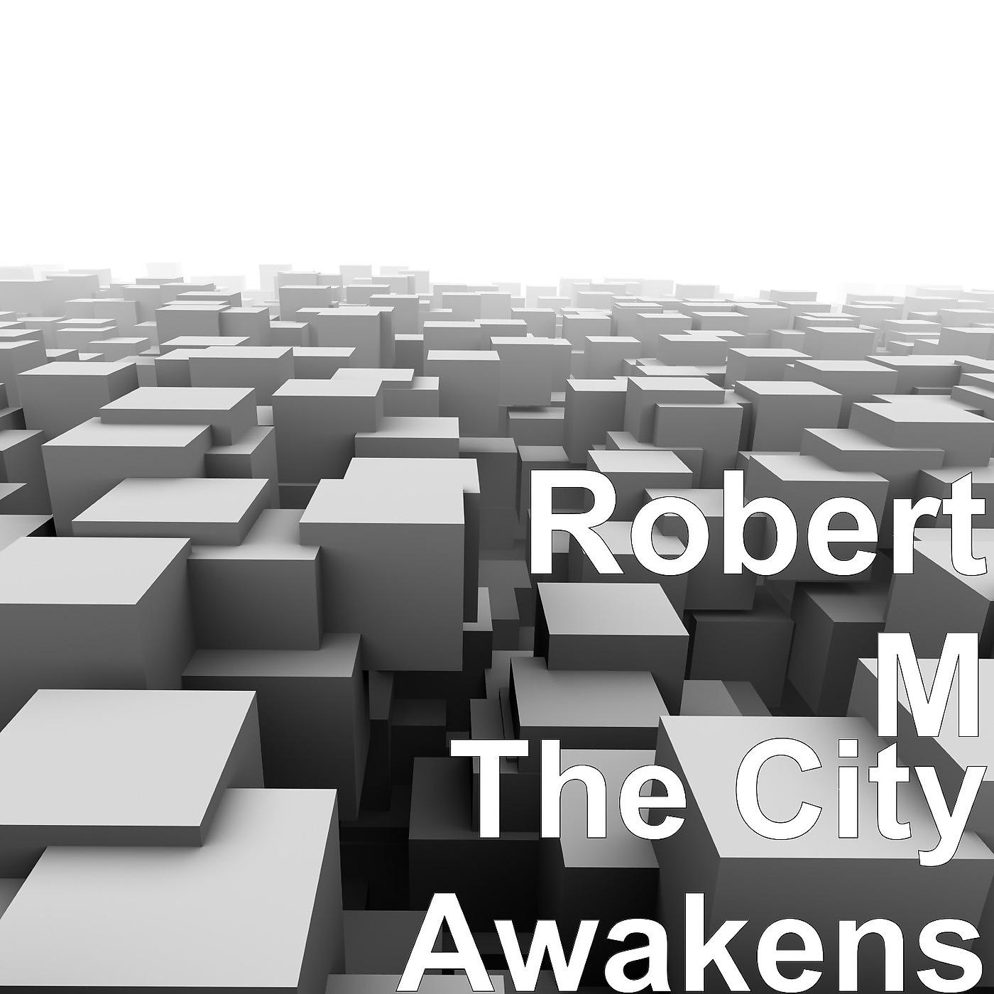 Постер альбома The City Awakens