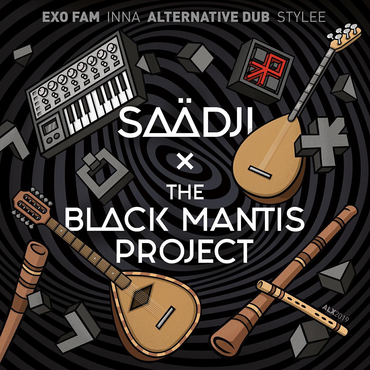 The Black Mantis Project - Stellar