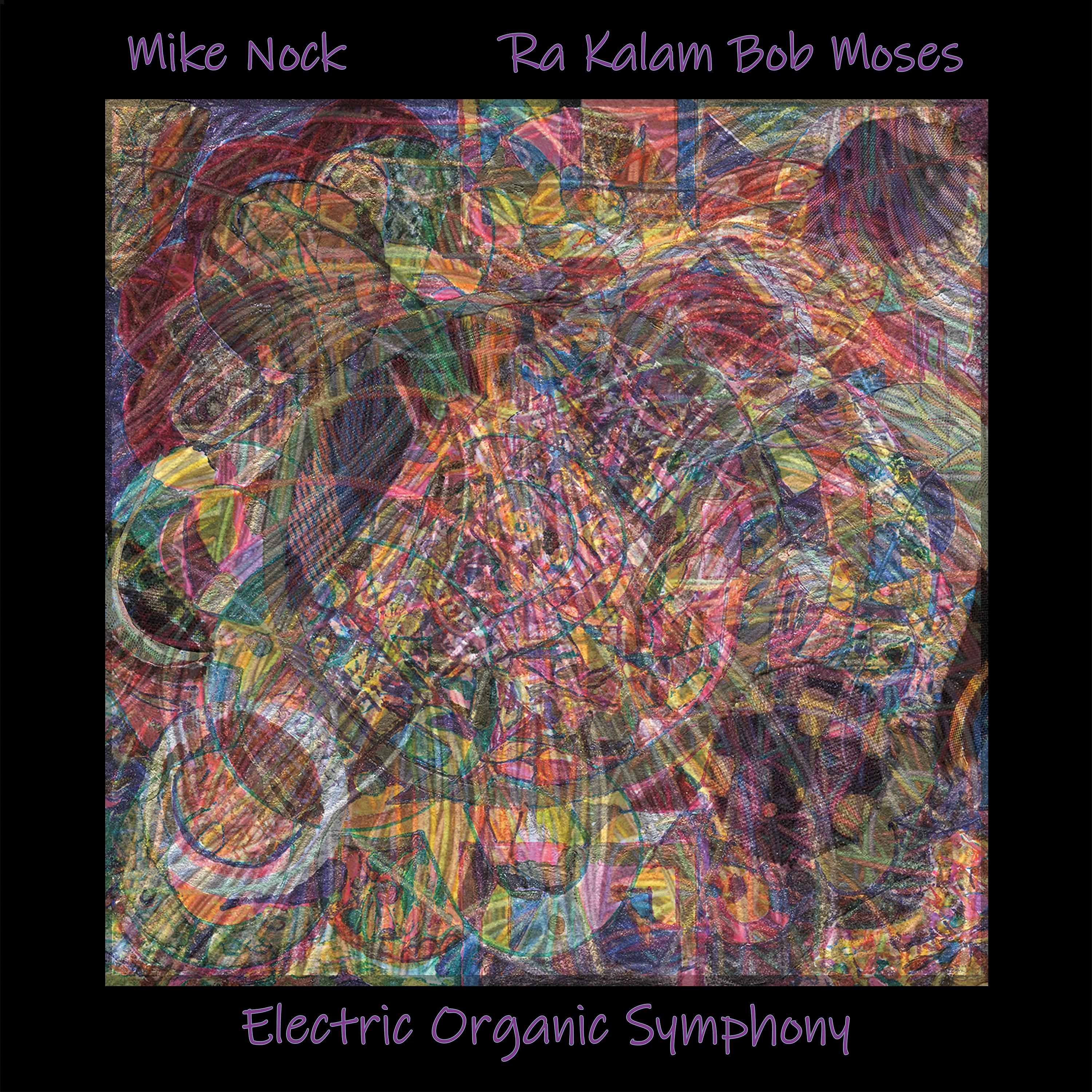 Постер альбома Electric Organic Symphony
