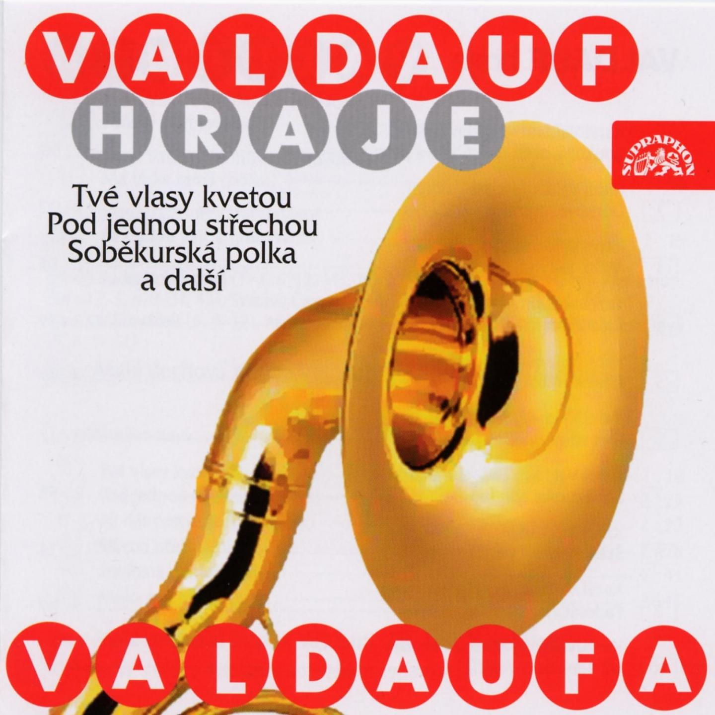 Miroslav Šuba - Má láska tančí