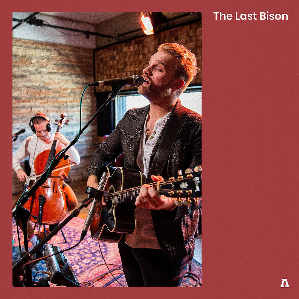 The Last Bison - Gold (Audiotree Live Version)