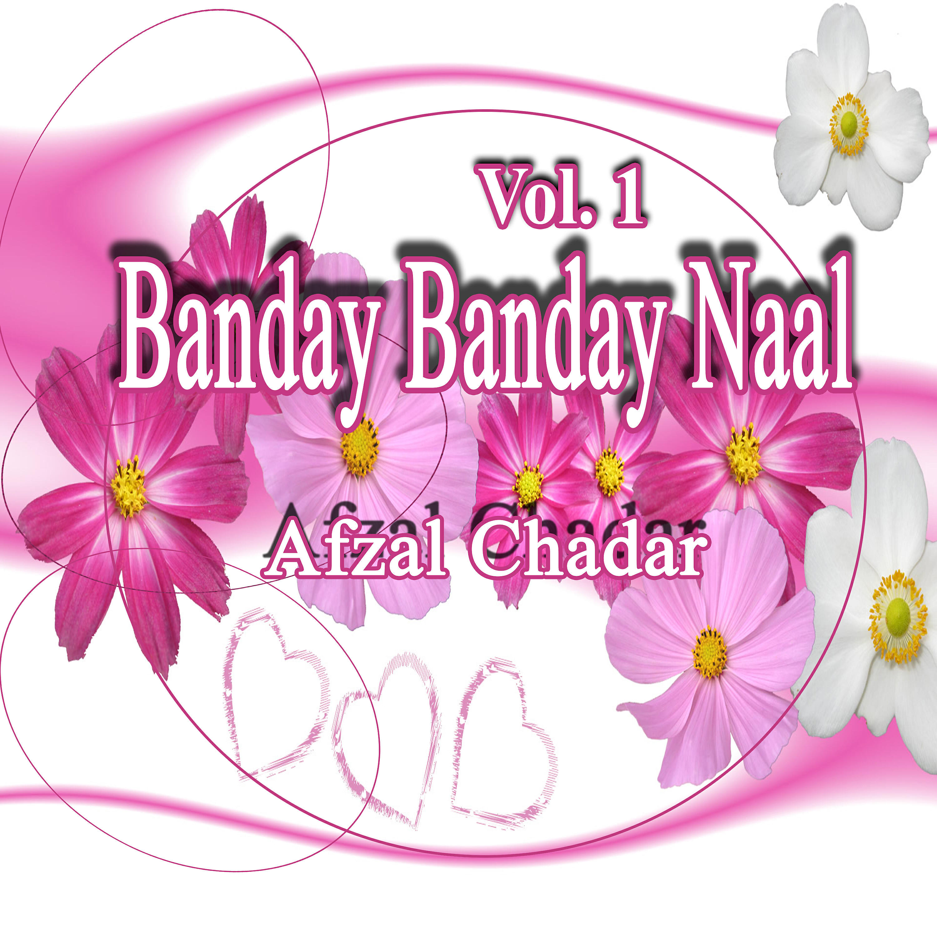 Afzal Chadar - Banday Banday Naal