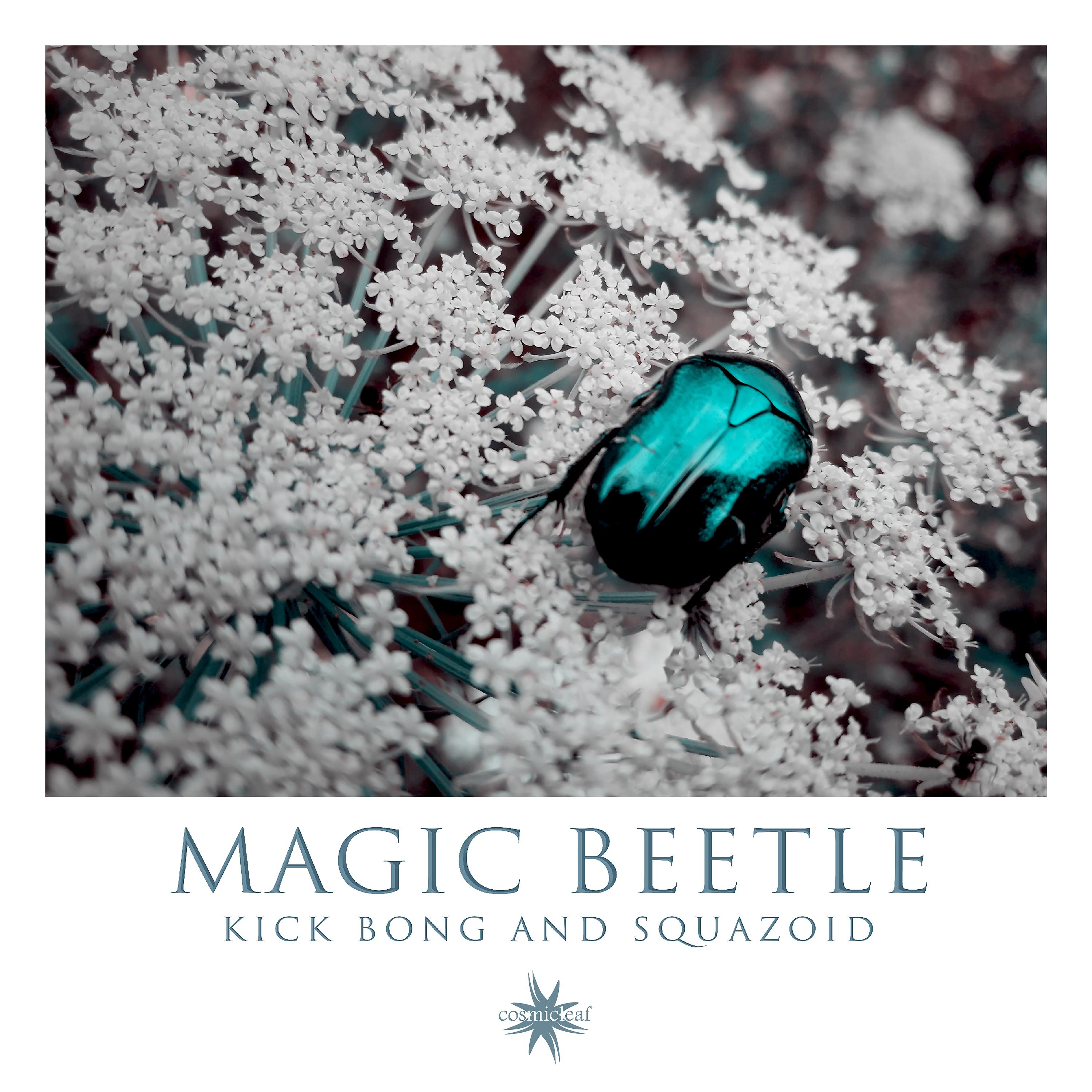 Постер альбома Magic Beetle