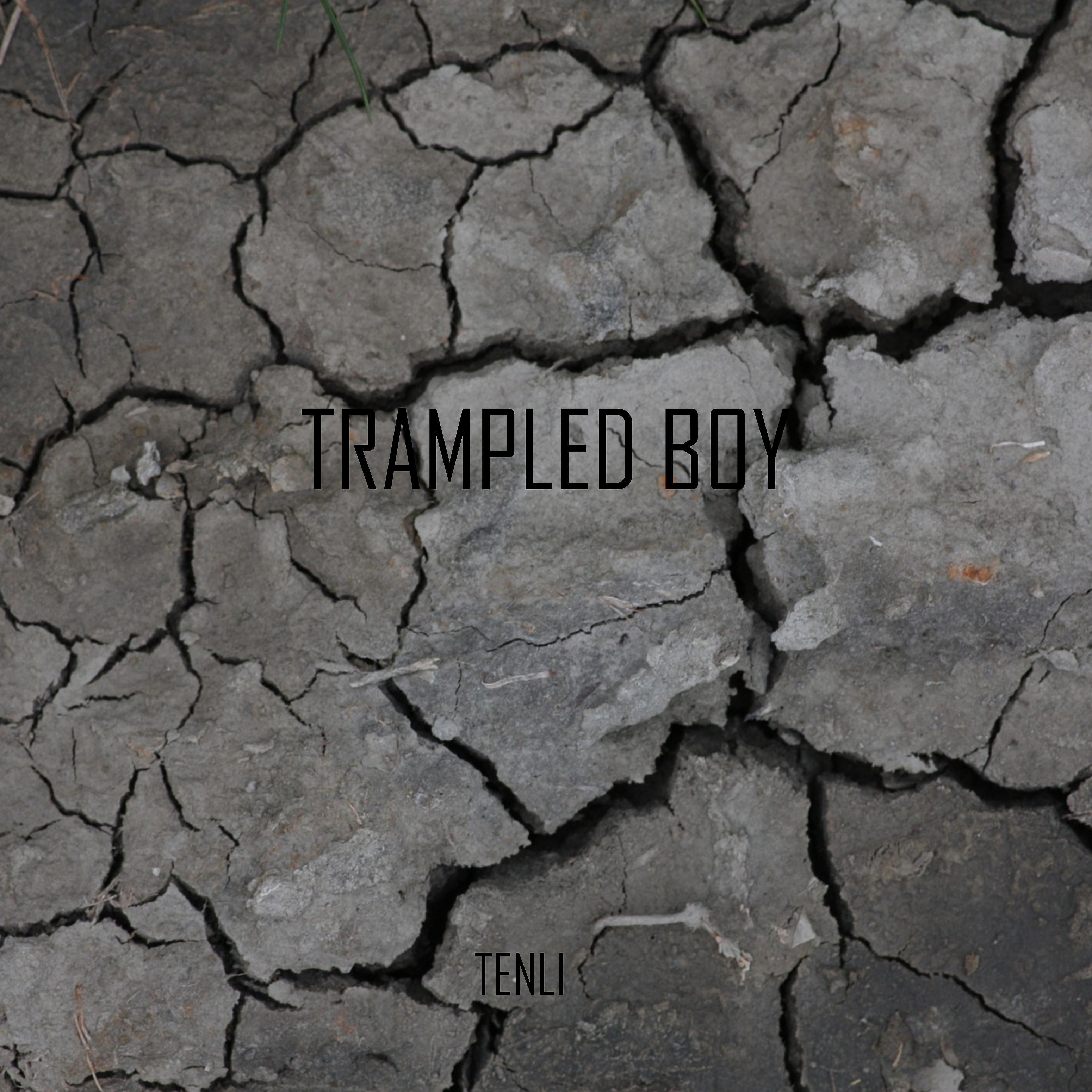 Постер альбома Trampled Boy