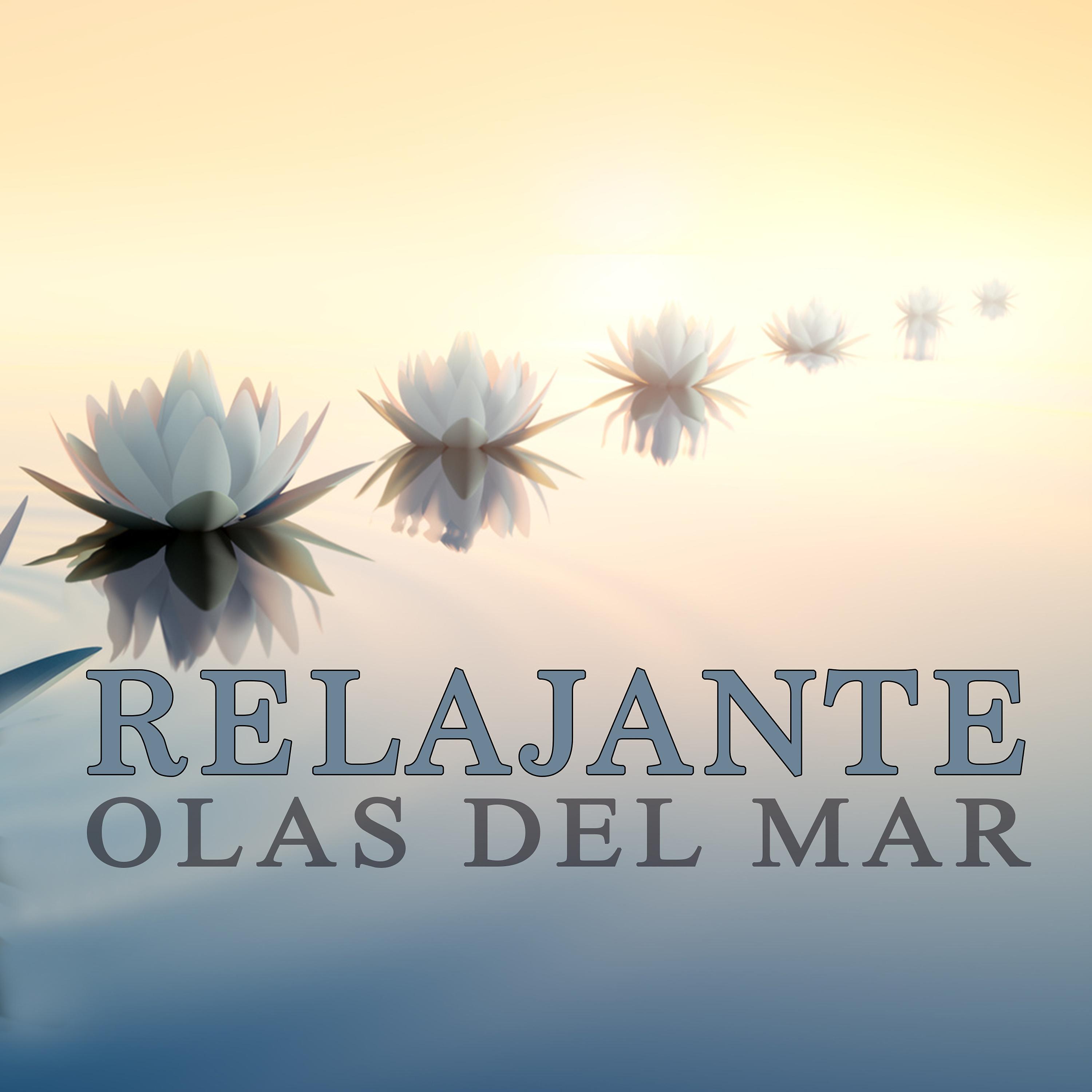 Постер альбома Relajante Olas Del Mar