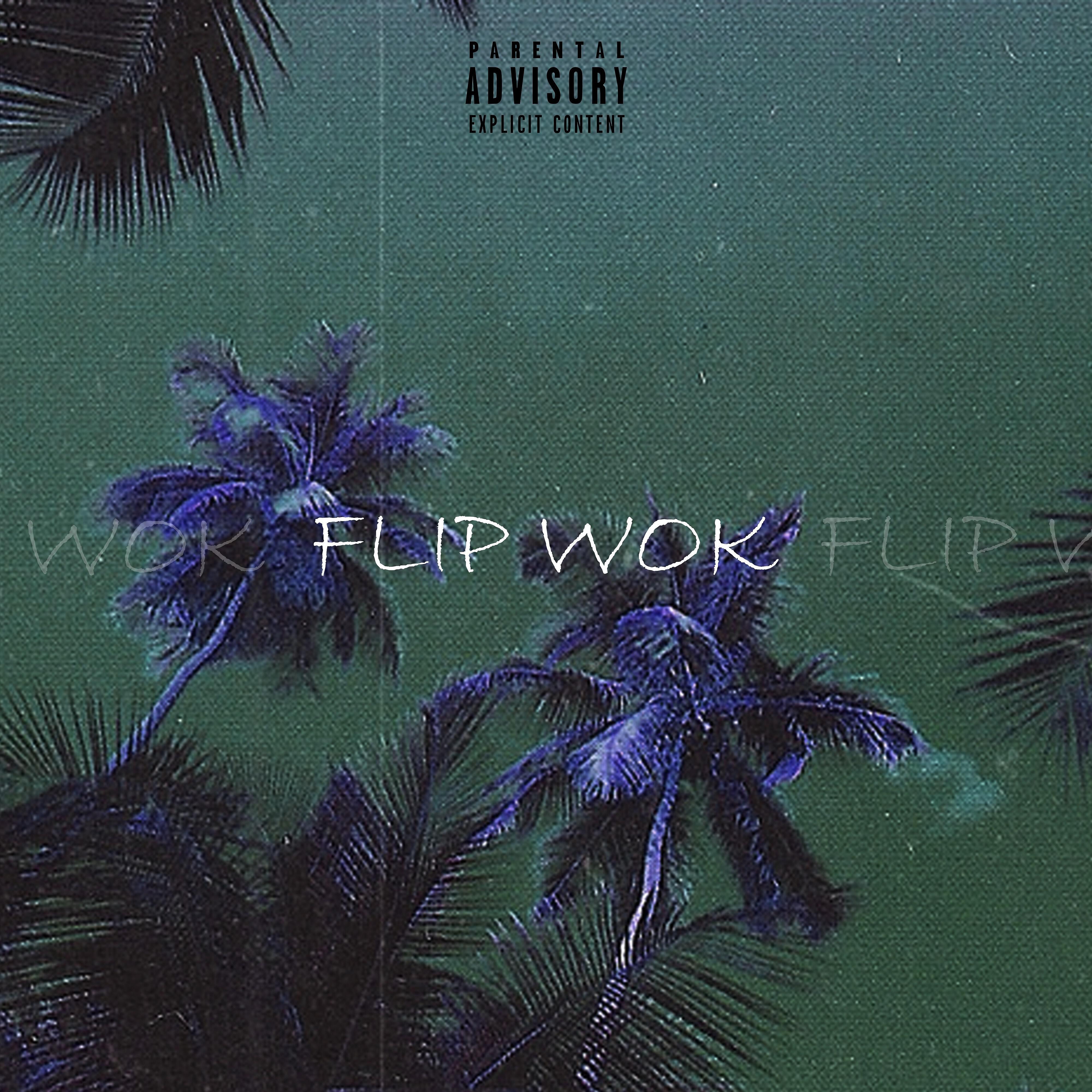 CAT IN DA GLASSES - Flip Wok