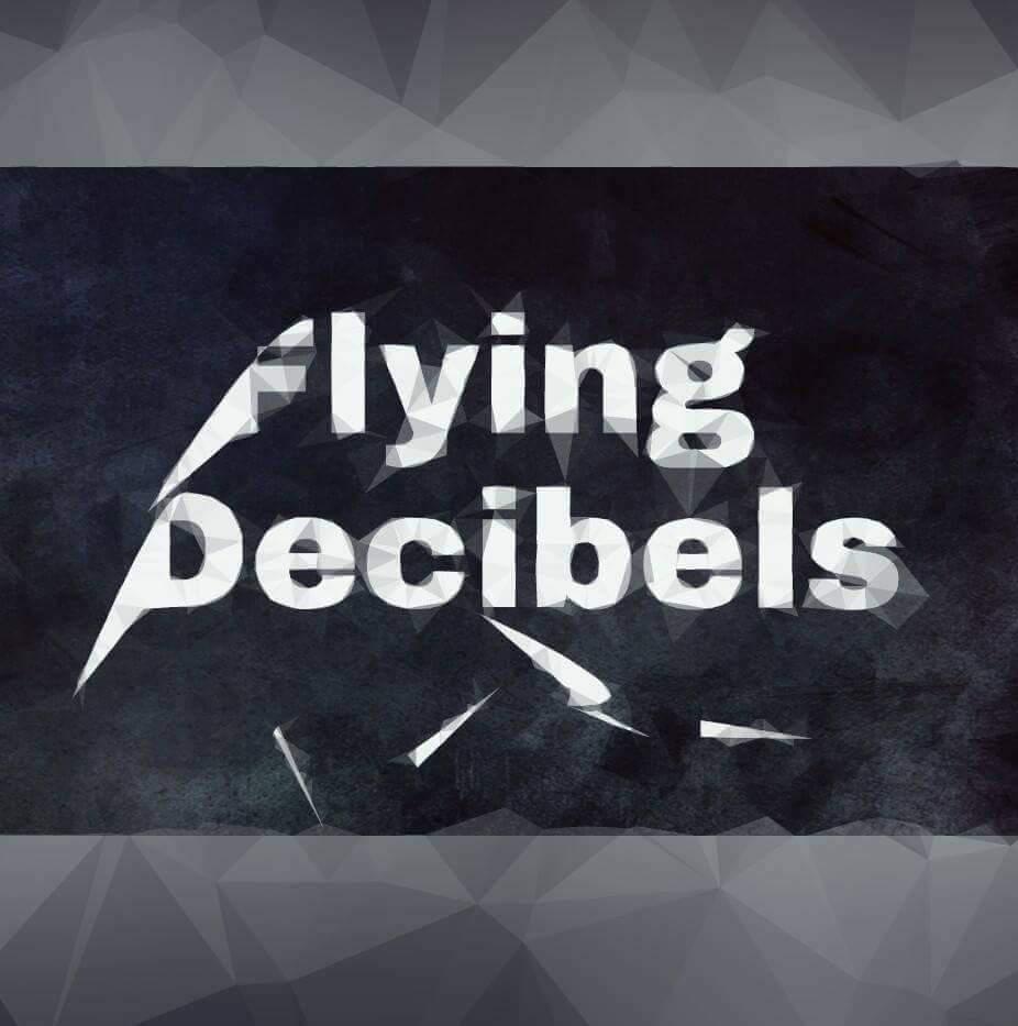 Like flying песня. Flying Decibels. Flying песня. Flying Decibels фото. Flying Decibels the Road.