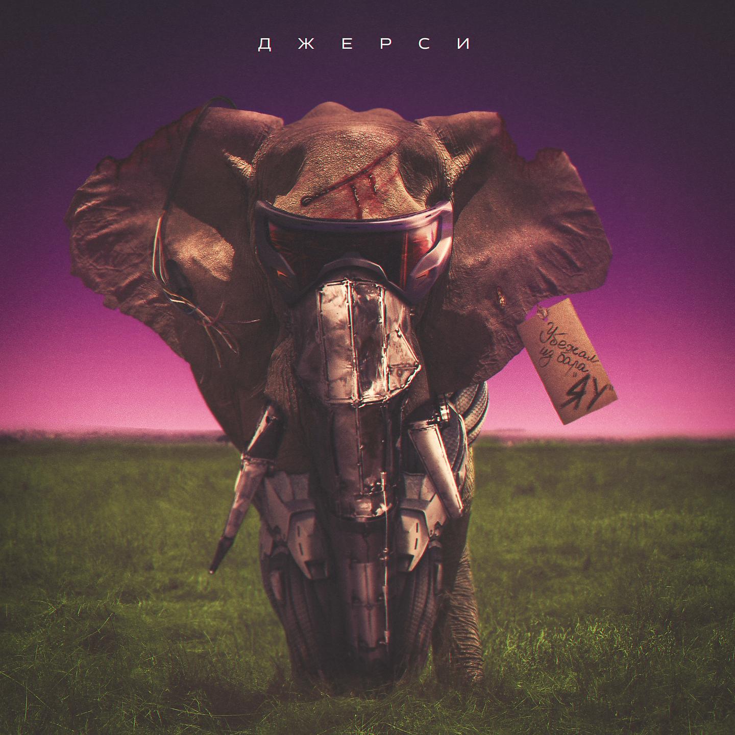 Джерси - Джангл