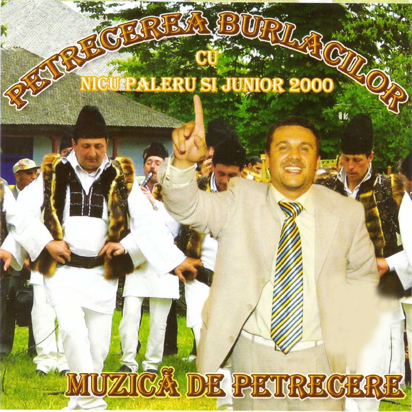 Постер альбома Petrecerea Burlacilor