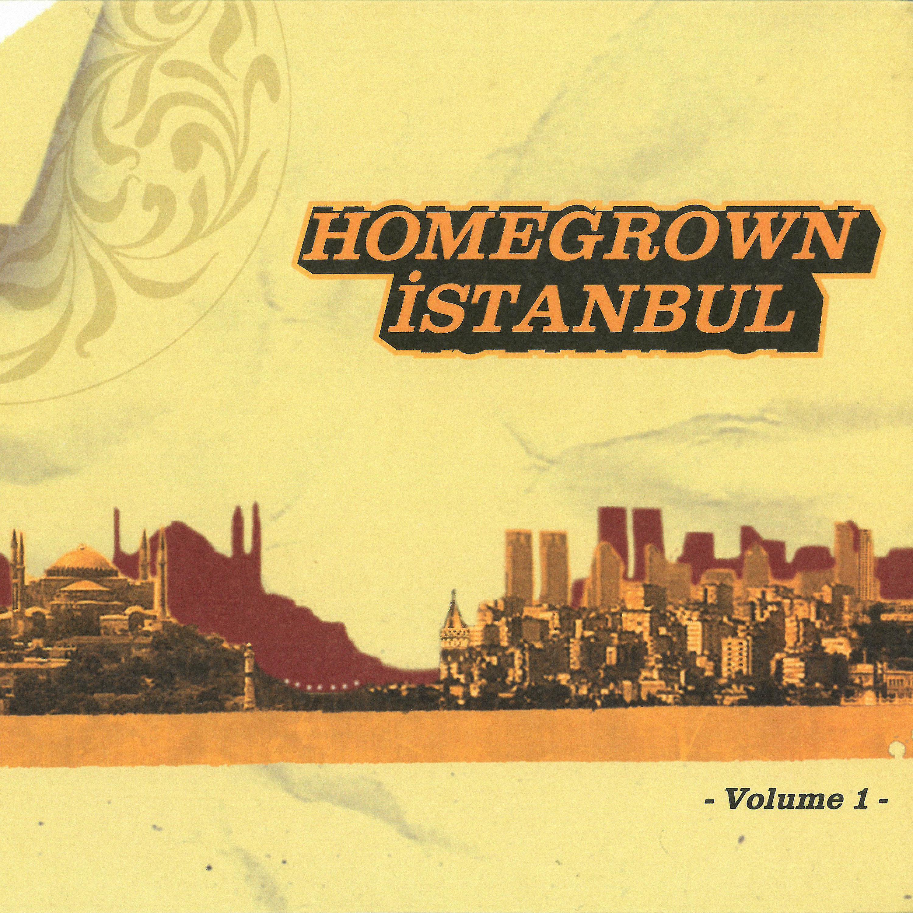 Постер альбома Homegrown Istanbul, Vol. 1