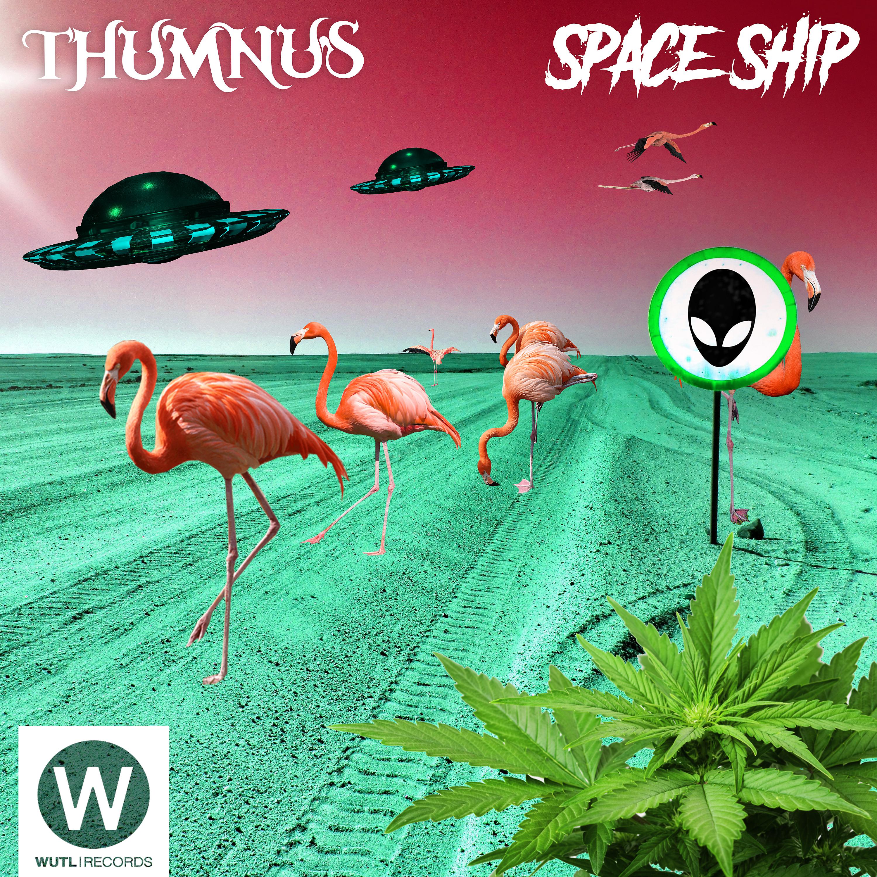 Постер альбома Space Ship