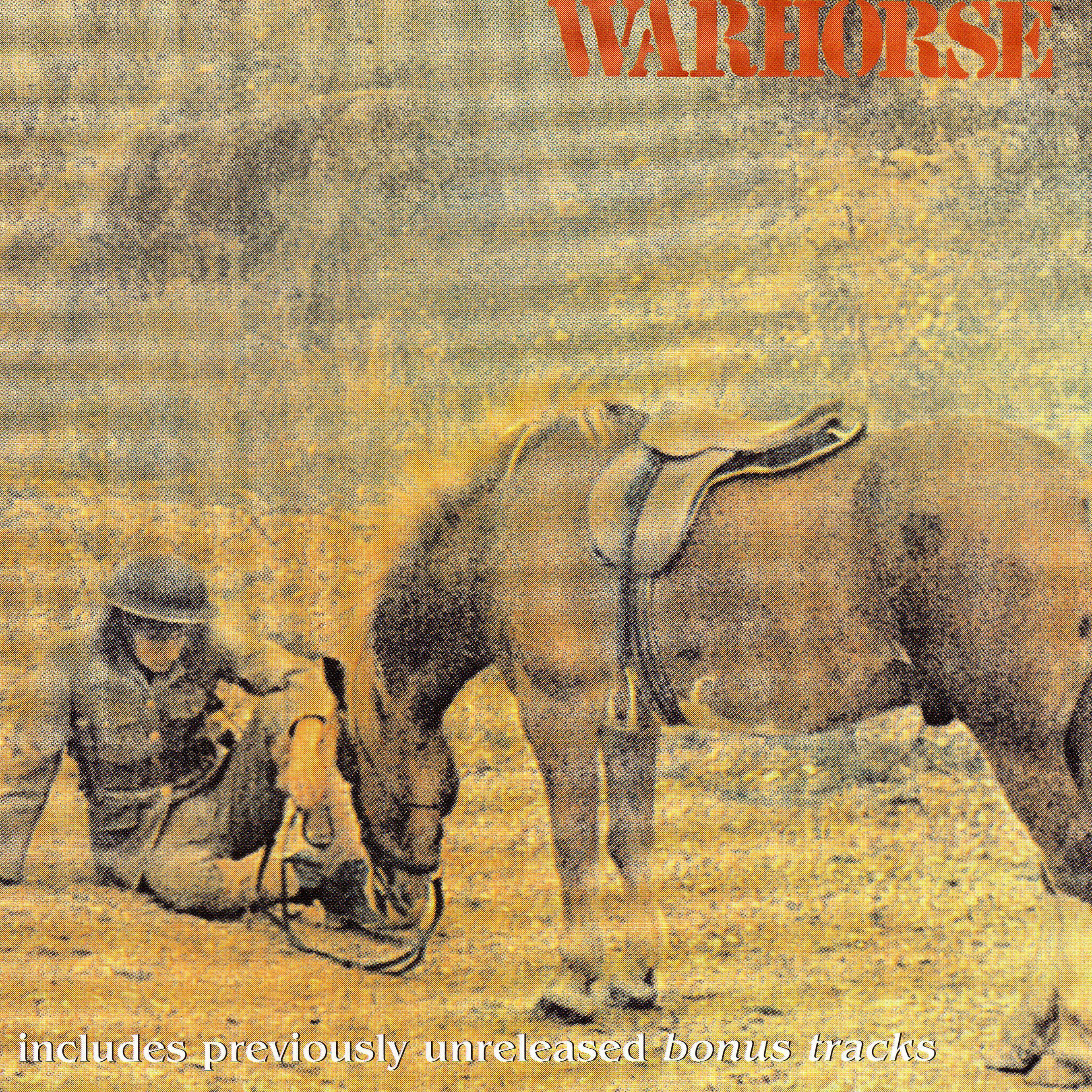 Постер альбома Warhorse