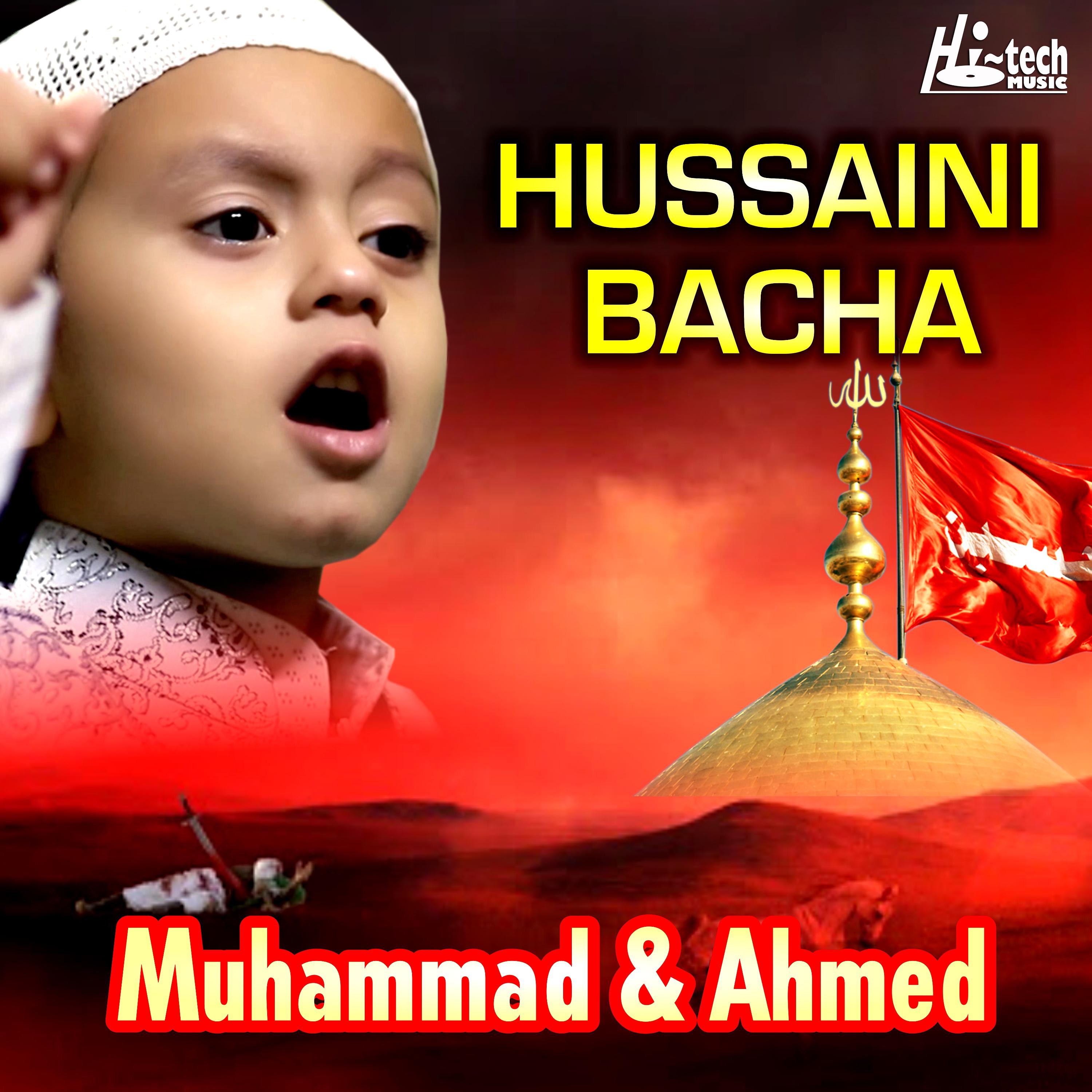 Постер альбома Hussaini Bacha