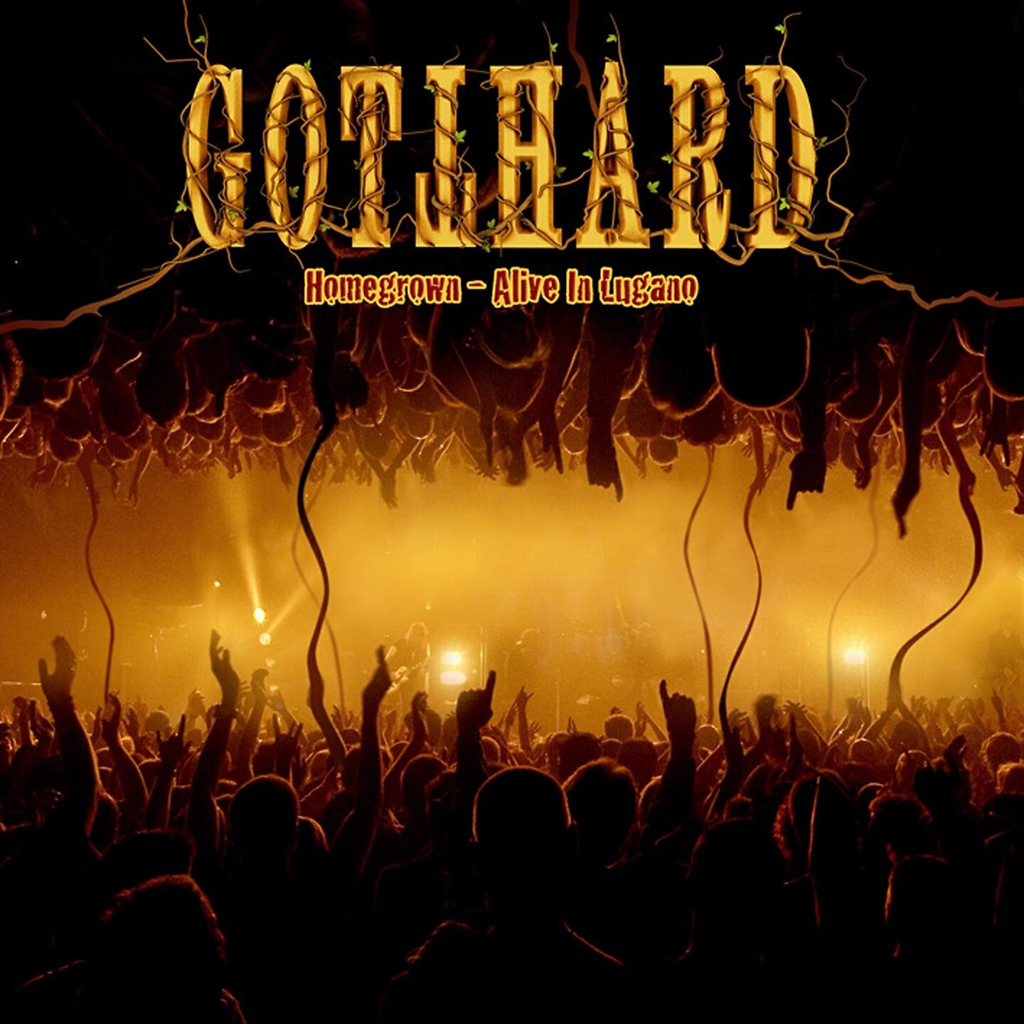 Gotthard - Top of the World (Alive in Lugano)
