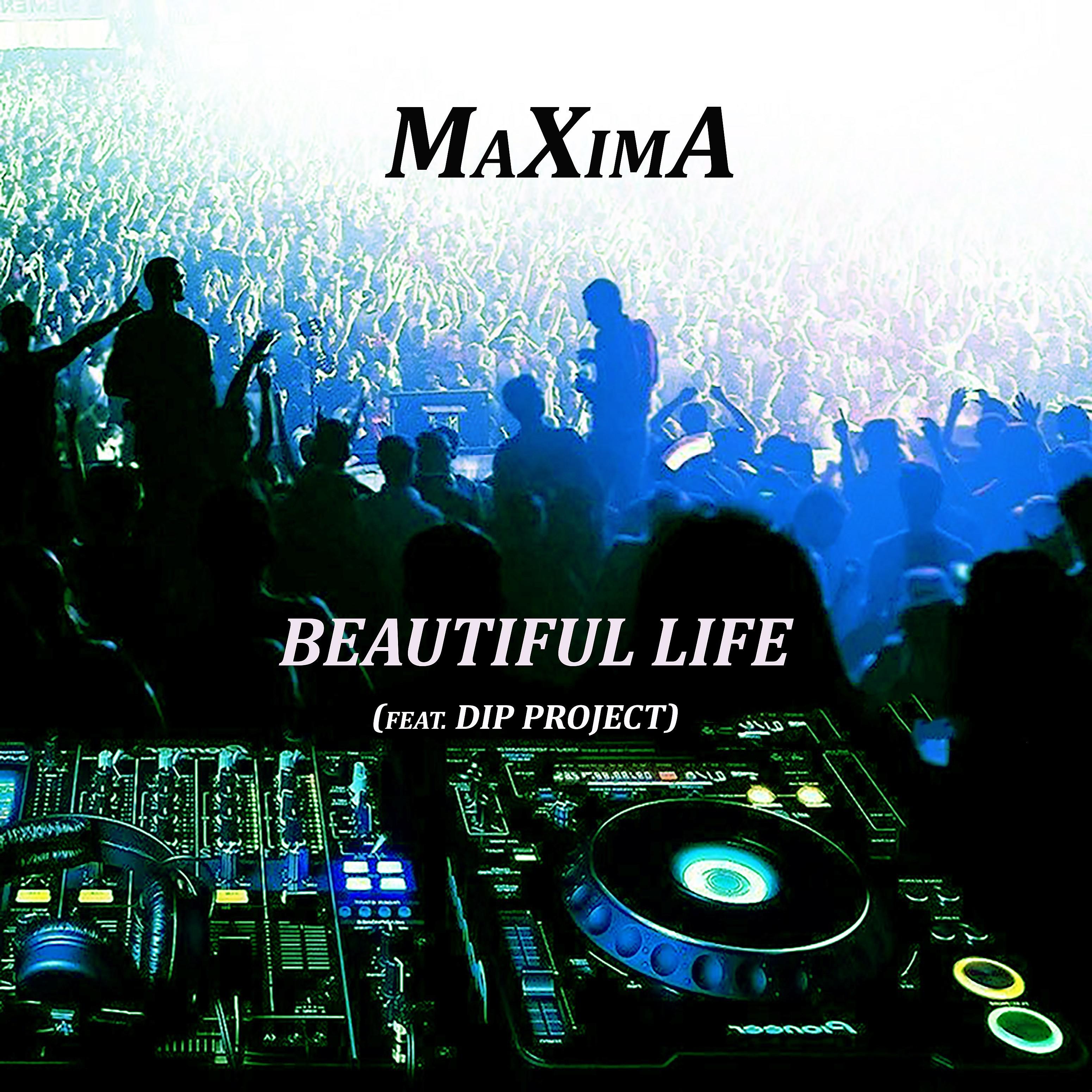 Постер альбома Beautiful Life (feat. Dip Project)