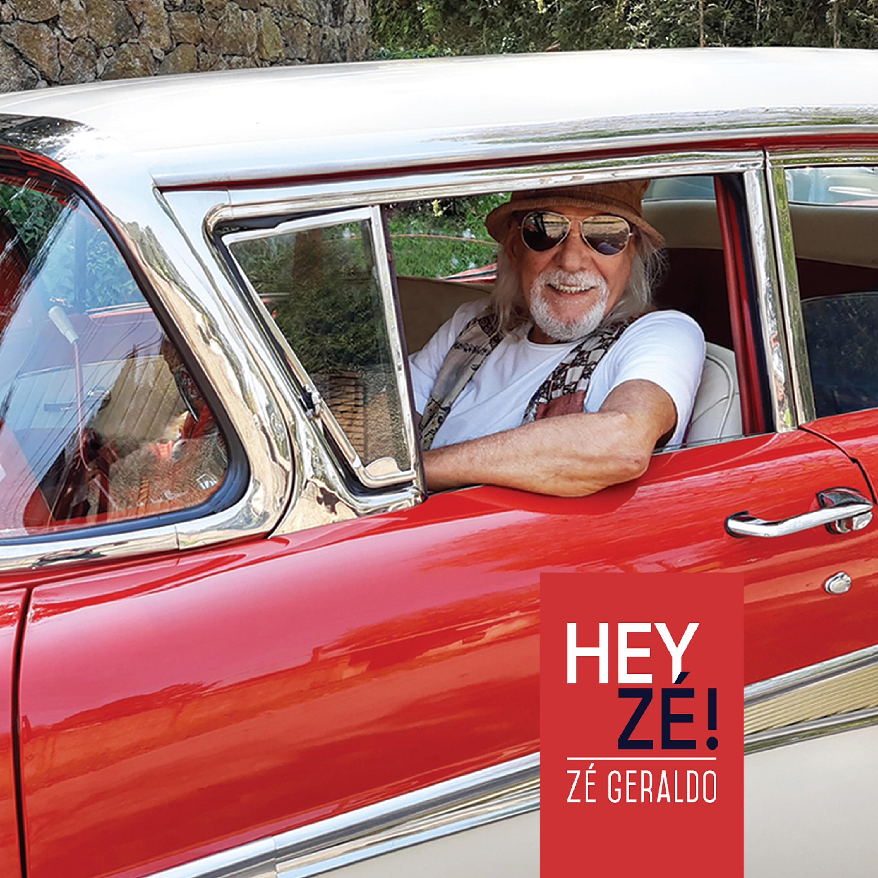 Zé Geraldo - Bicho Grilo Artesão