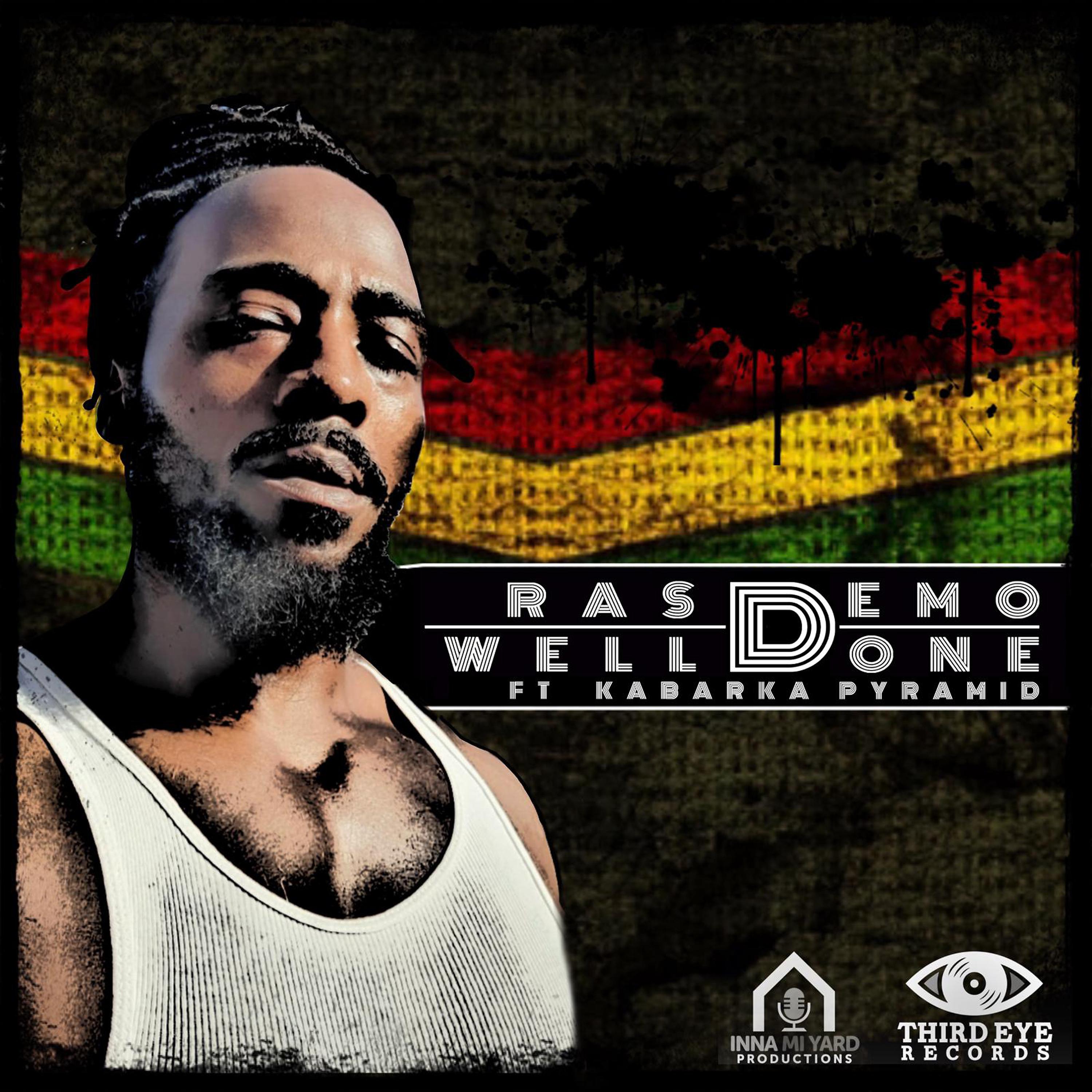 Постер альбома Well Done (feat. Kabaka Pyramid)