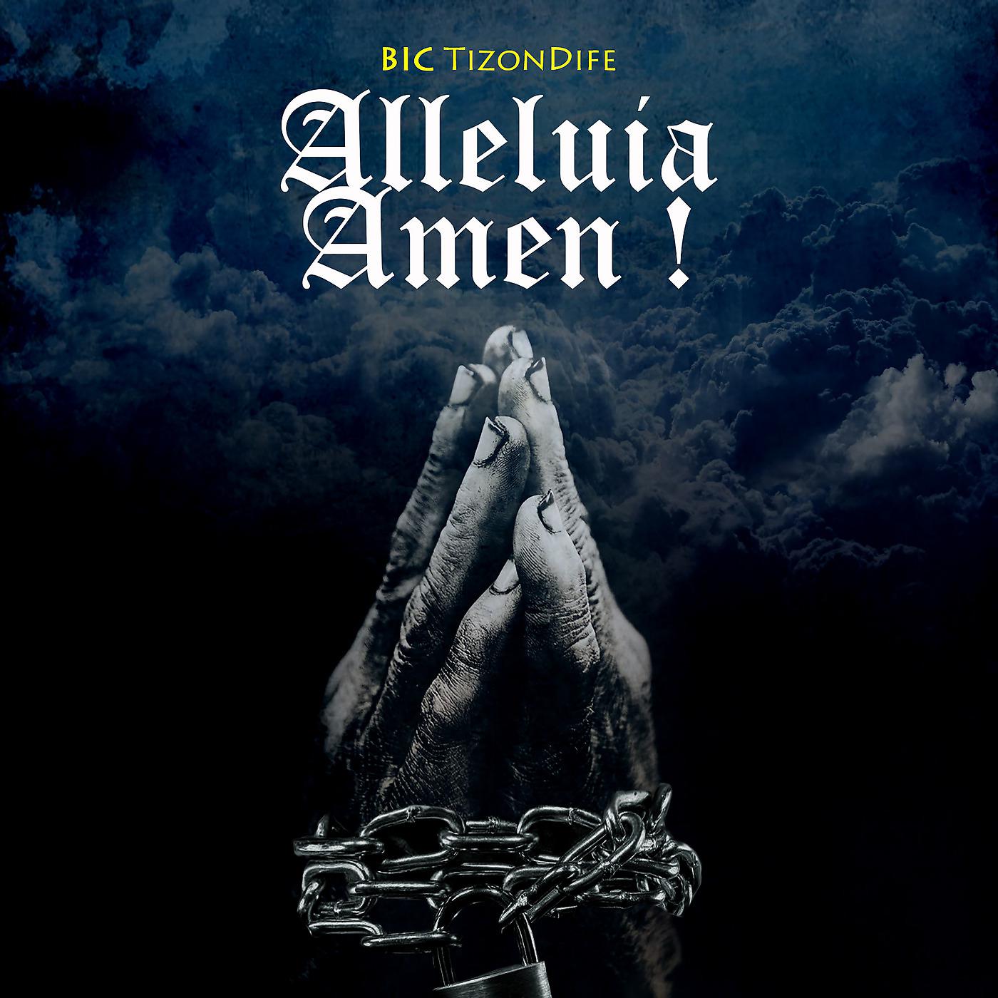 Постер альбома Alleluia Amen !