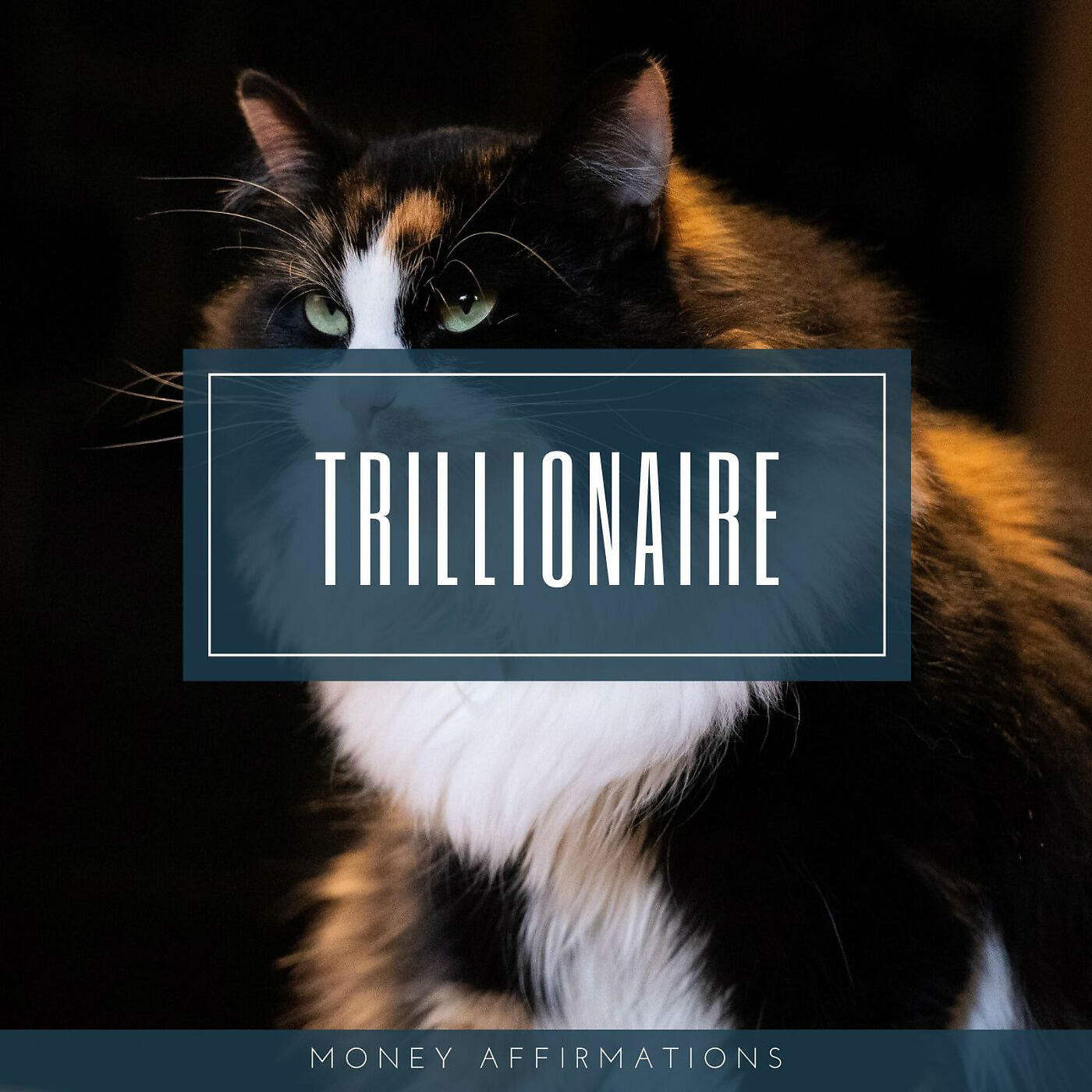 DY - Trillionaire Money Affirmations