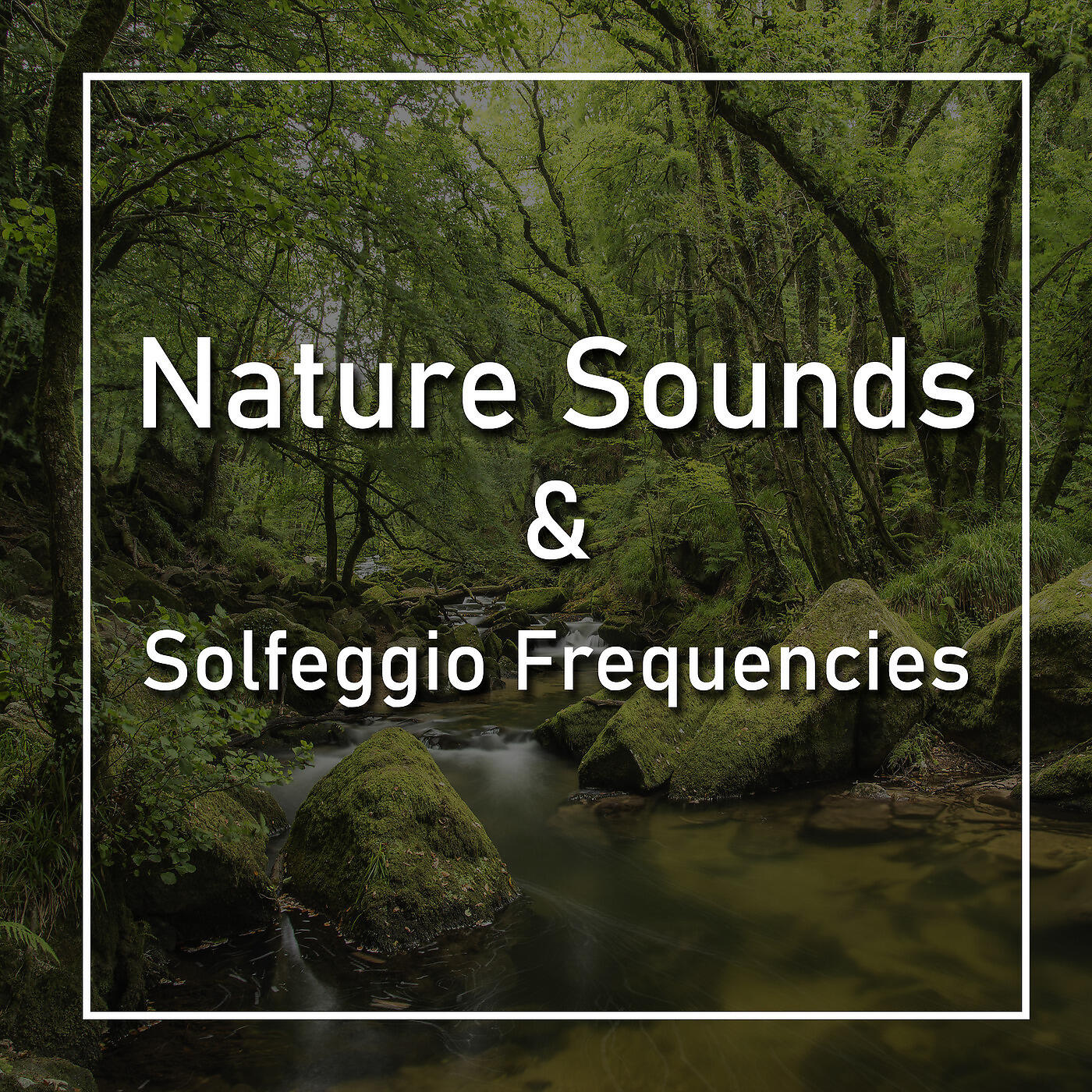 Nature Sounds - Rain Thunder and Solfeggio 741 Hz