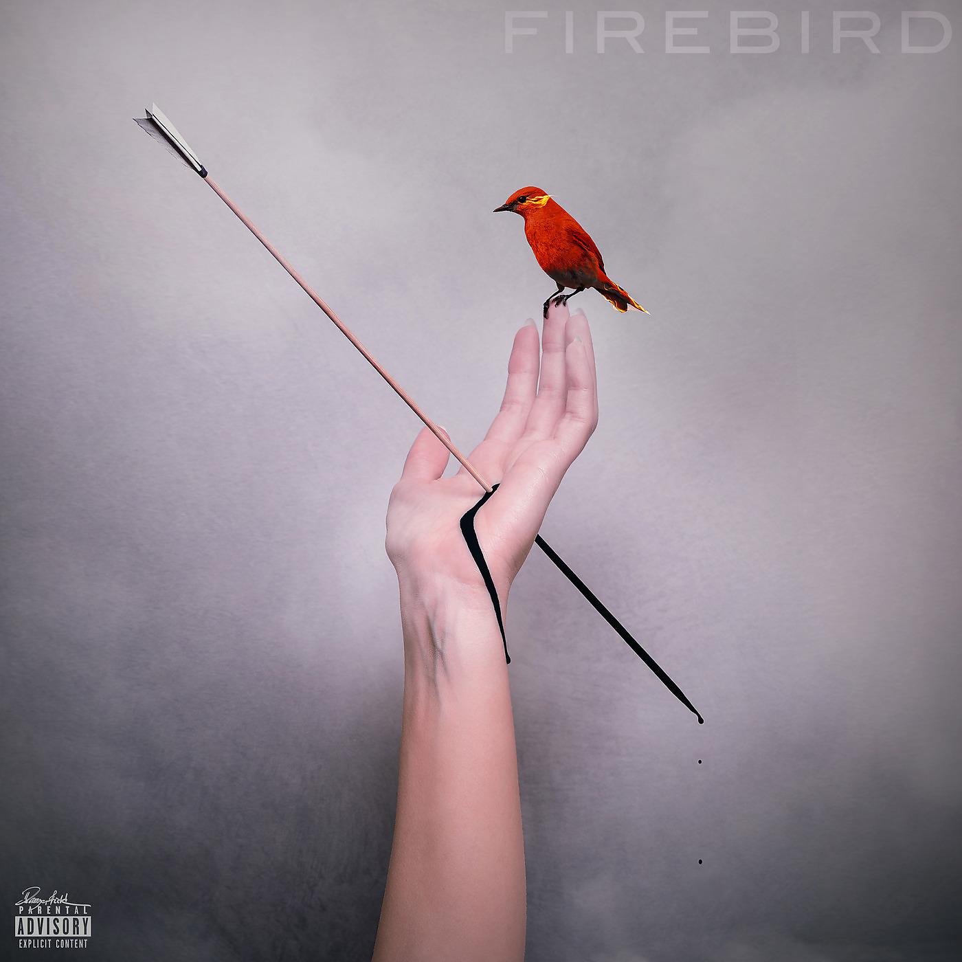 Постер альбома Firebird