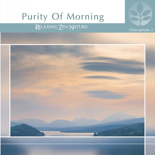 Постер альбома Chlorophylle II Purity of Morning
