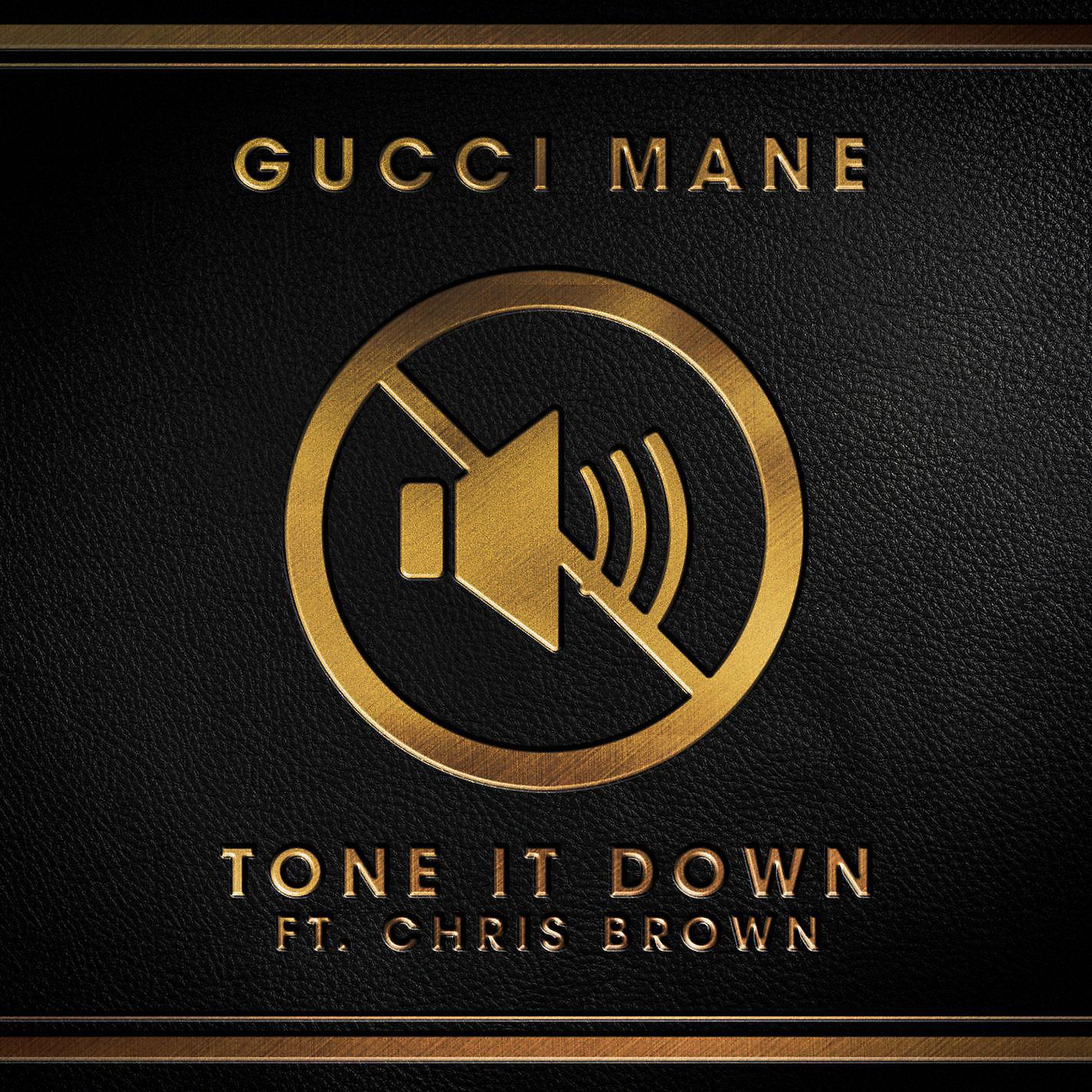 Постер альбома Tone it Down (feat. Chris Brown)