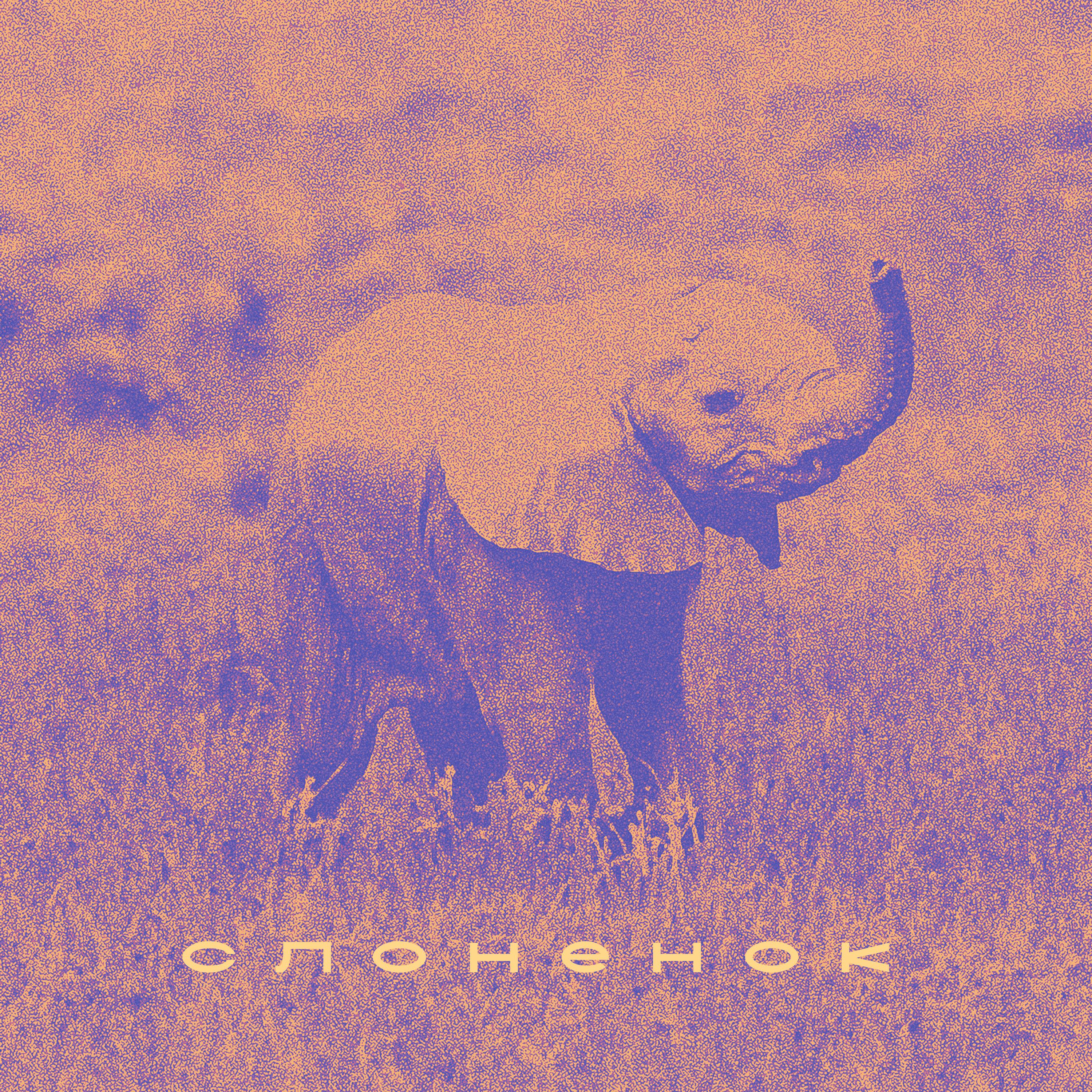 Постер альбома Слонёнок