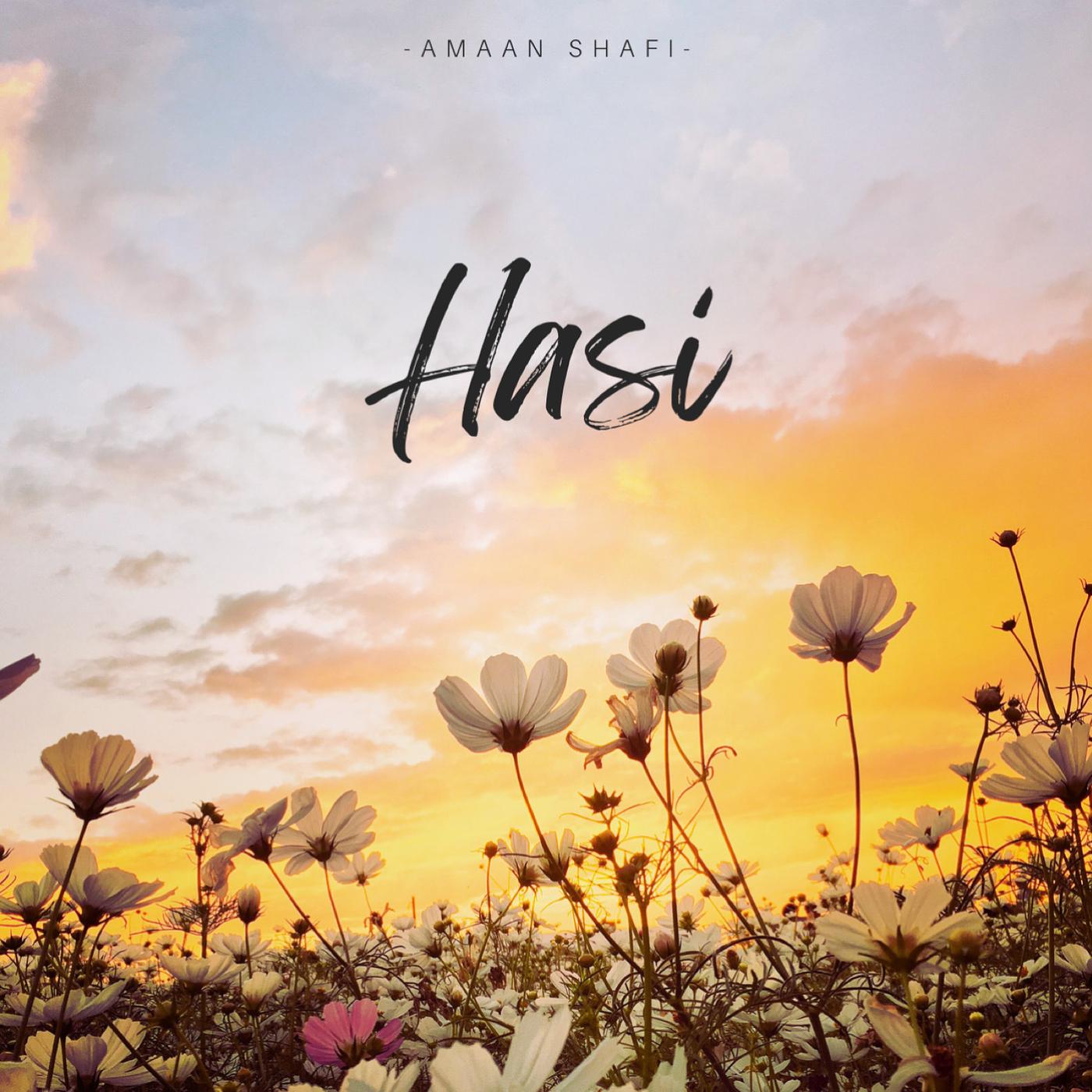 Постер альбома Hasi