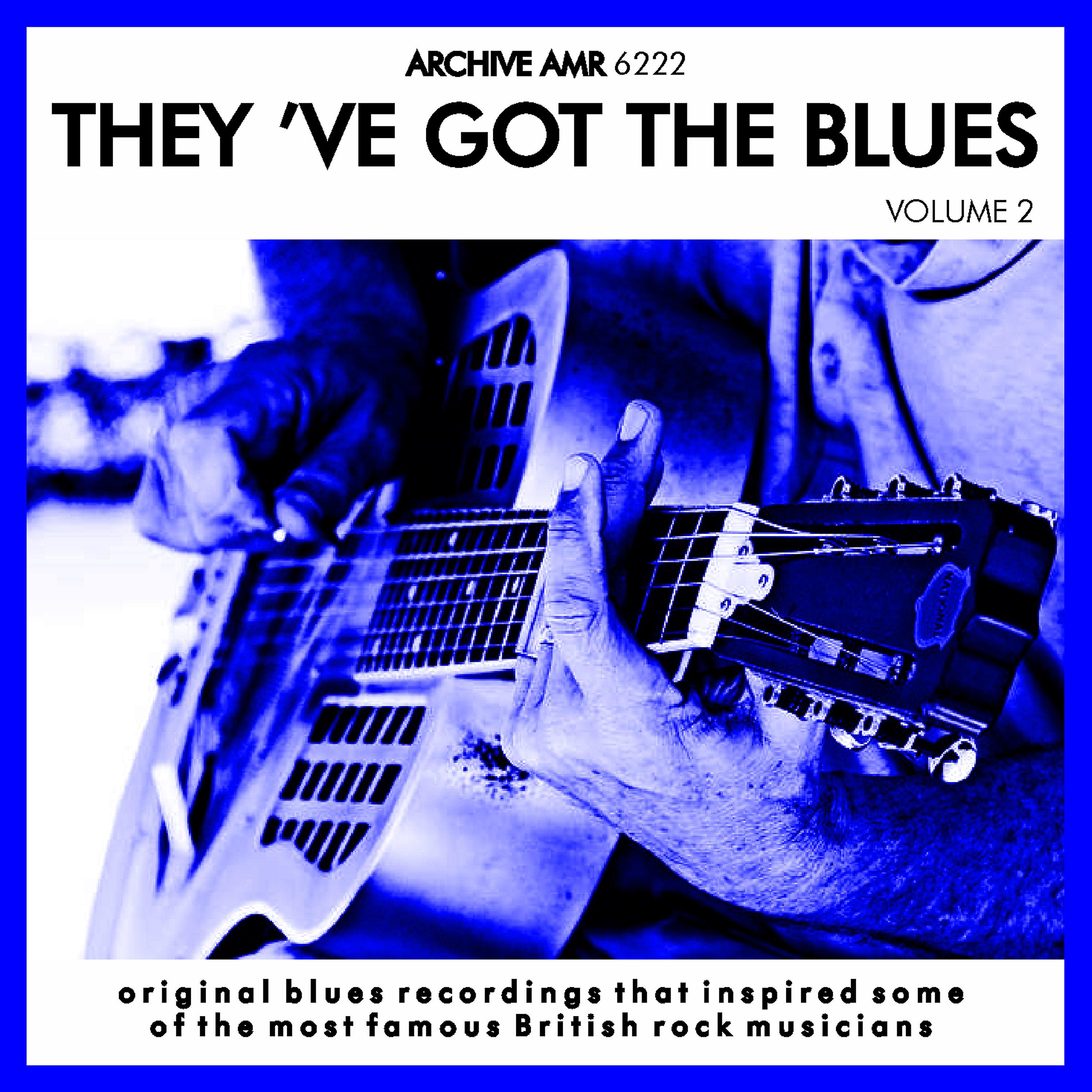 Постер альбома They've Got the Blues, Volume 2