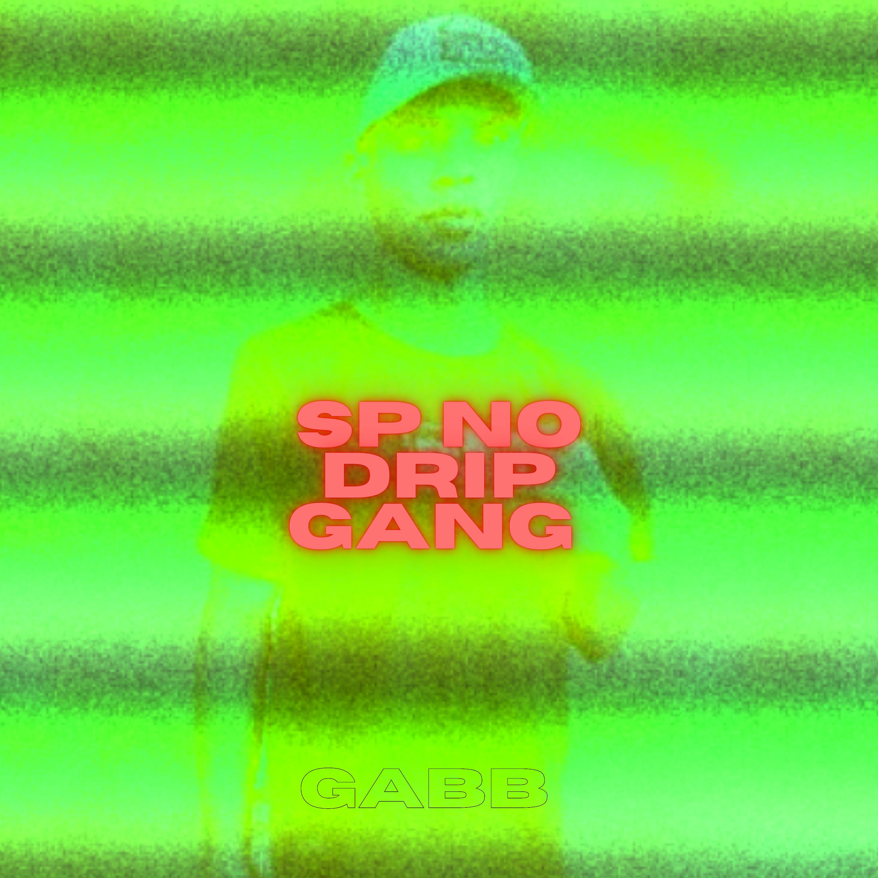 Постер альбома Sp no Drip Gang