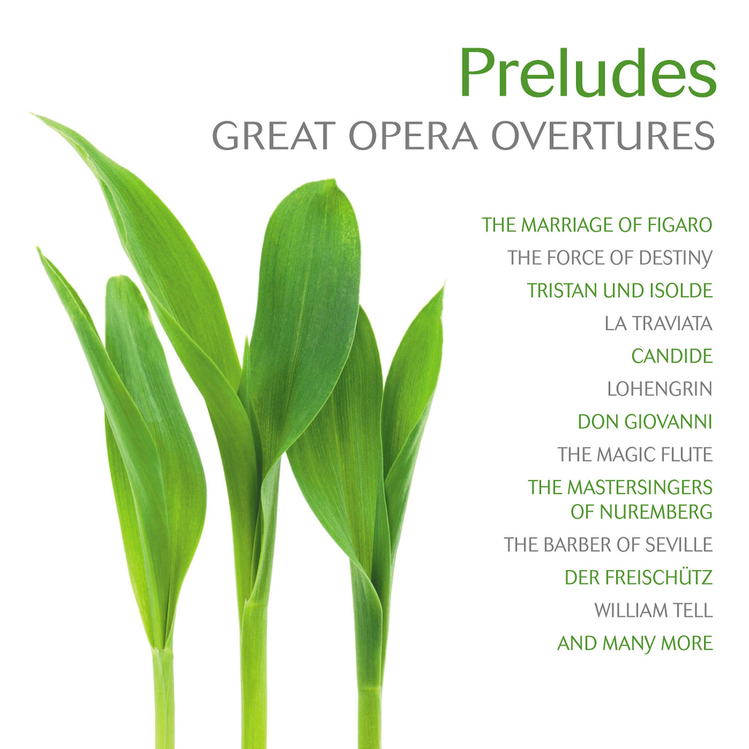 Постер альбома Preludes: Great Opera Overtures