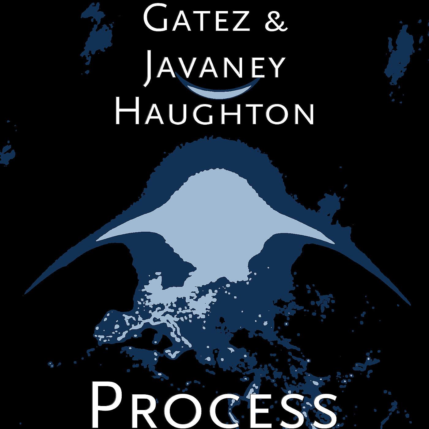 Постер альбома Process