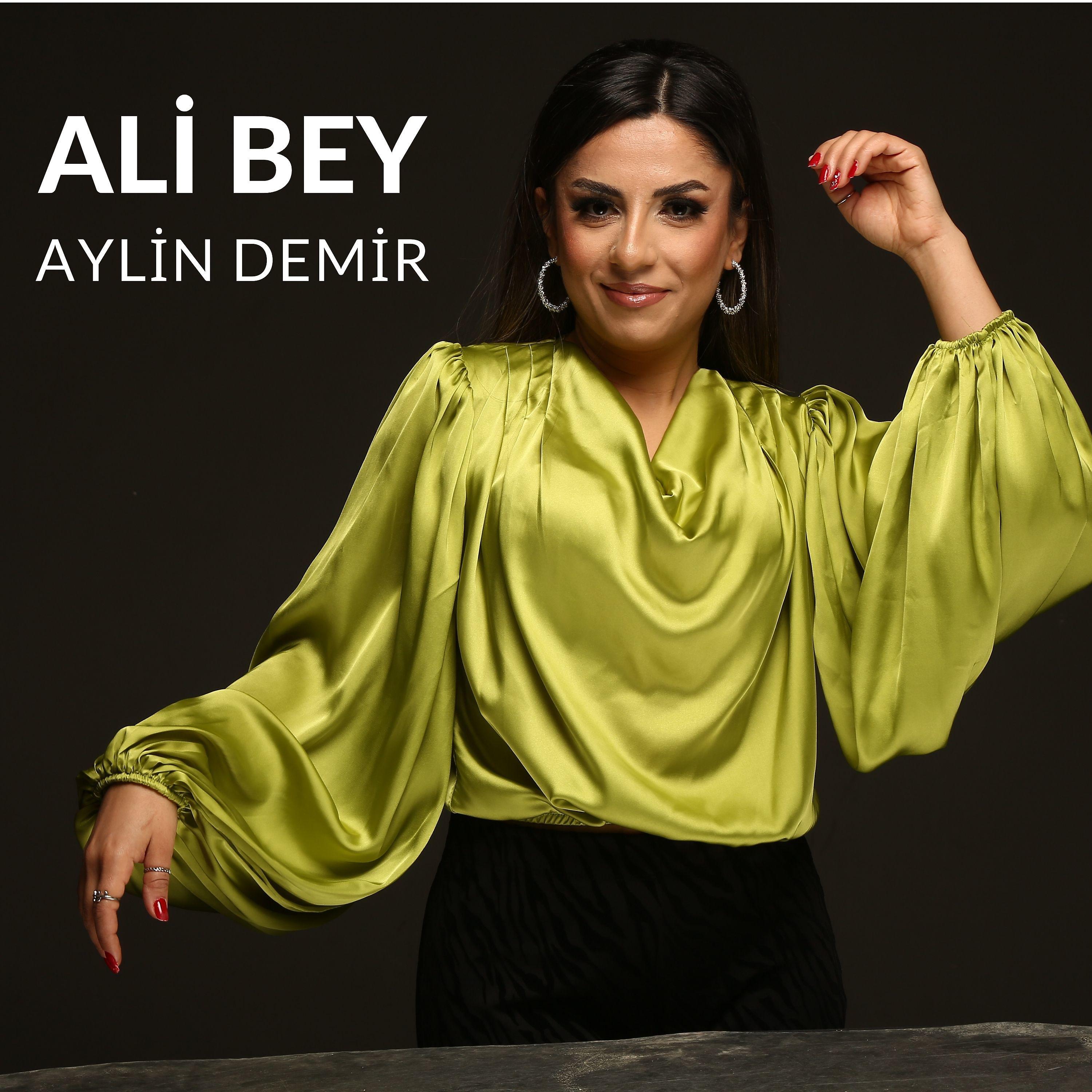 Постер альбома Ali Bey
