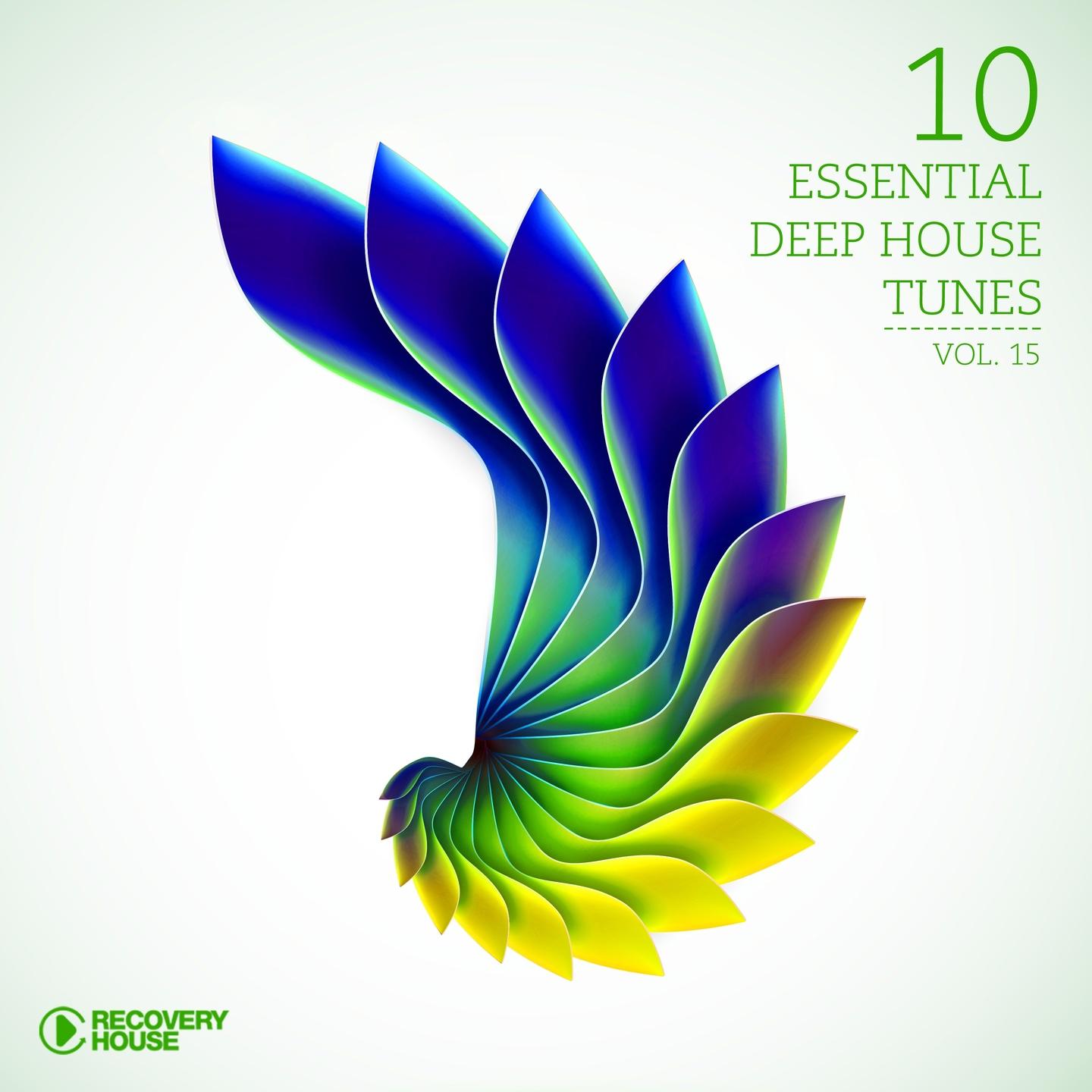 Постер альбома 10 Essential Deep House Tunes, Vol. 15